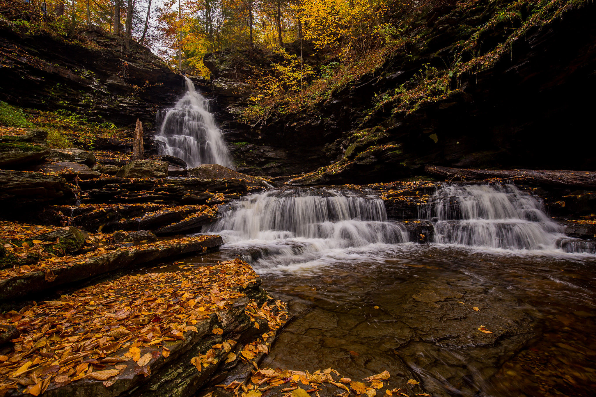 Обои камни осенние цвета State Park Ricketts Glen на рабочий стол