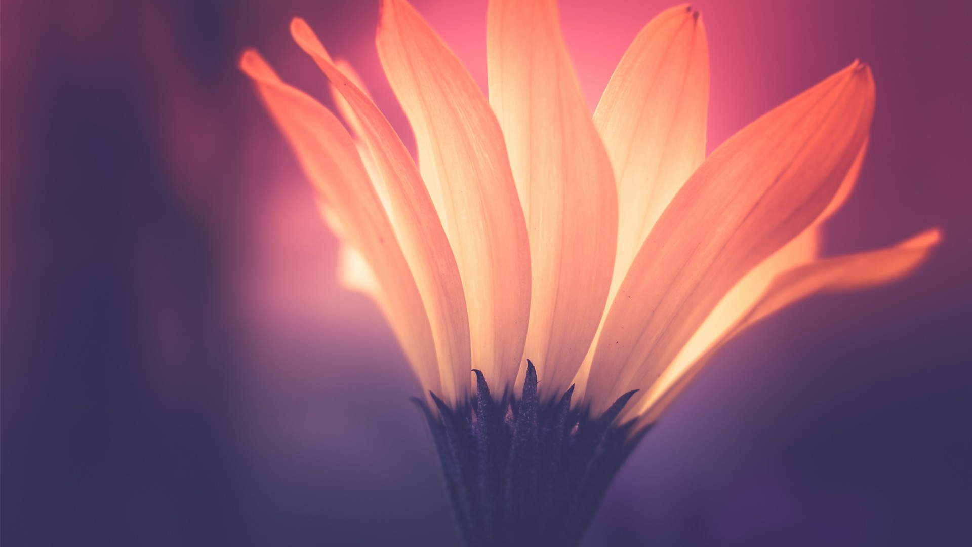 Обои солнечный свет отражение небо на рабочий стол