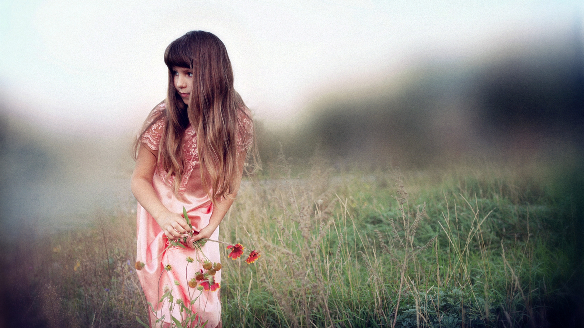 桌面上的壁纸女孩 苍蝇 草地