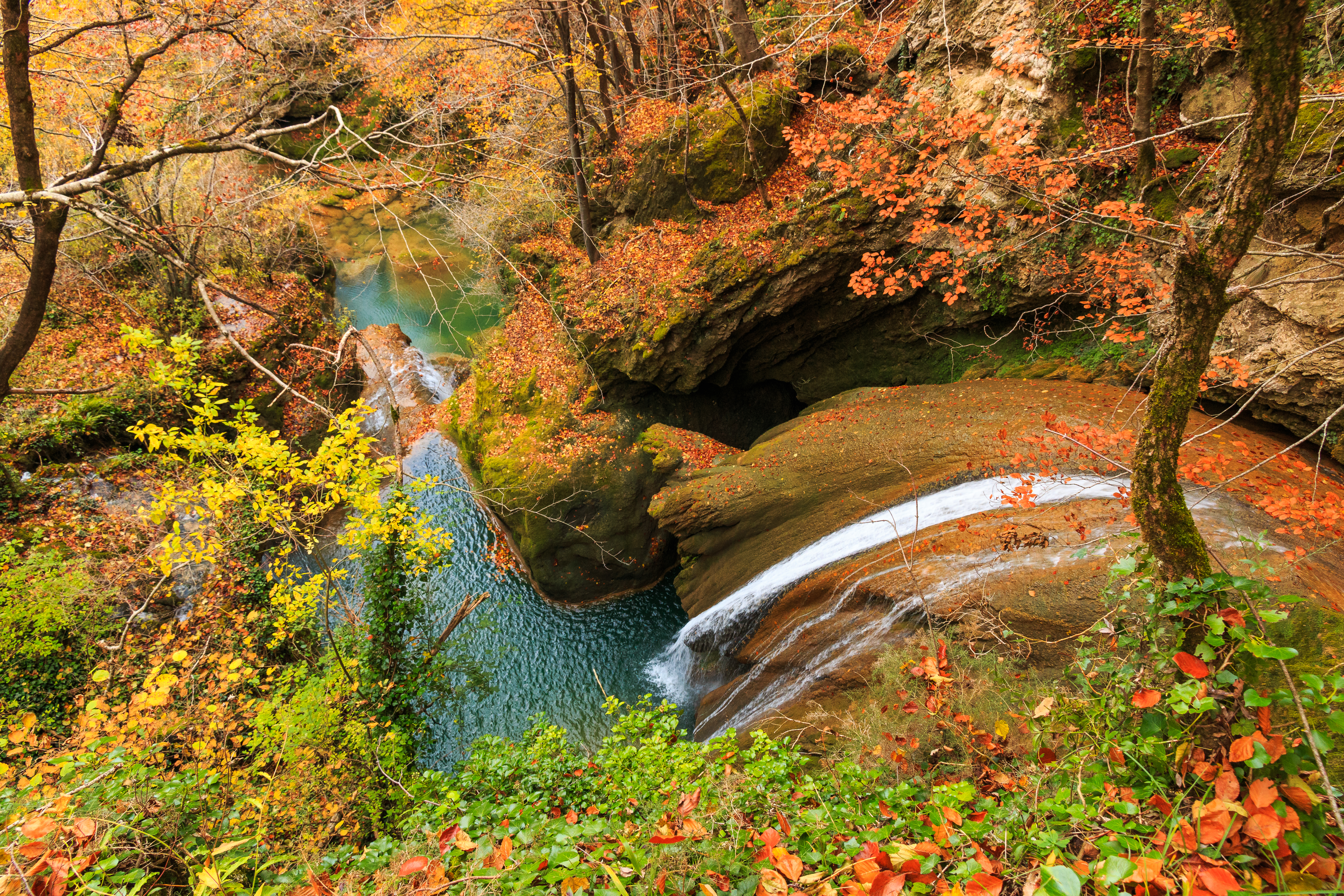 Free photo Download screensaver the trees, the river to your phone for free