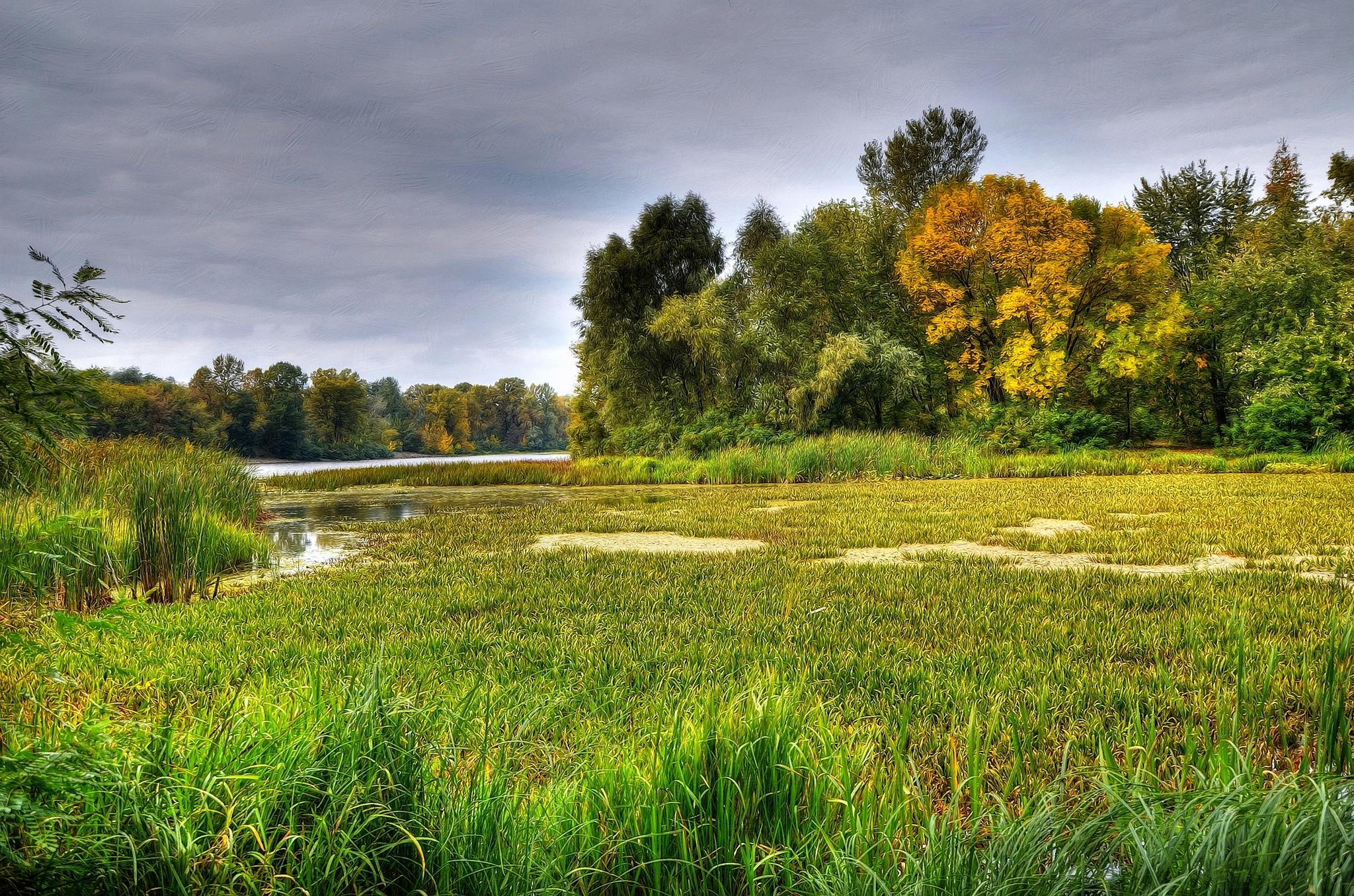 Wallpapers creek Ukraine river on the desktop