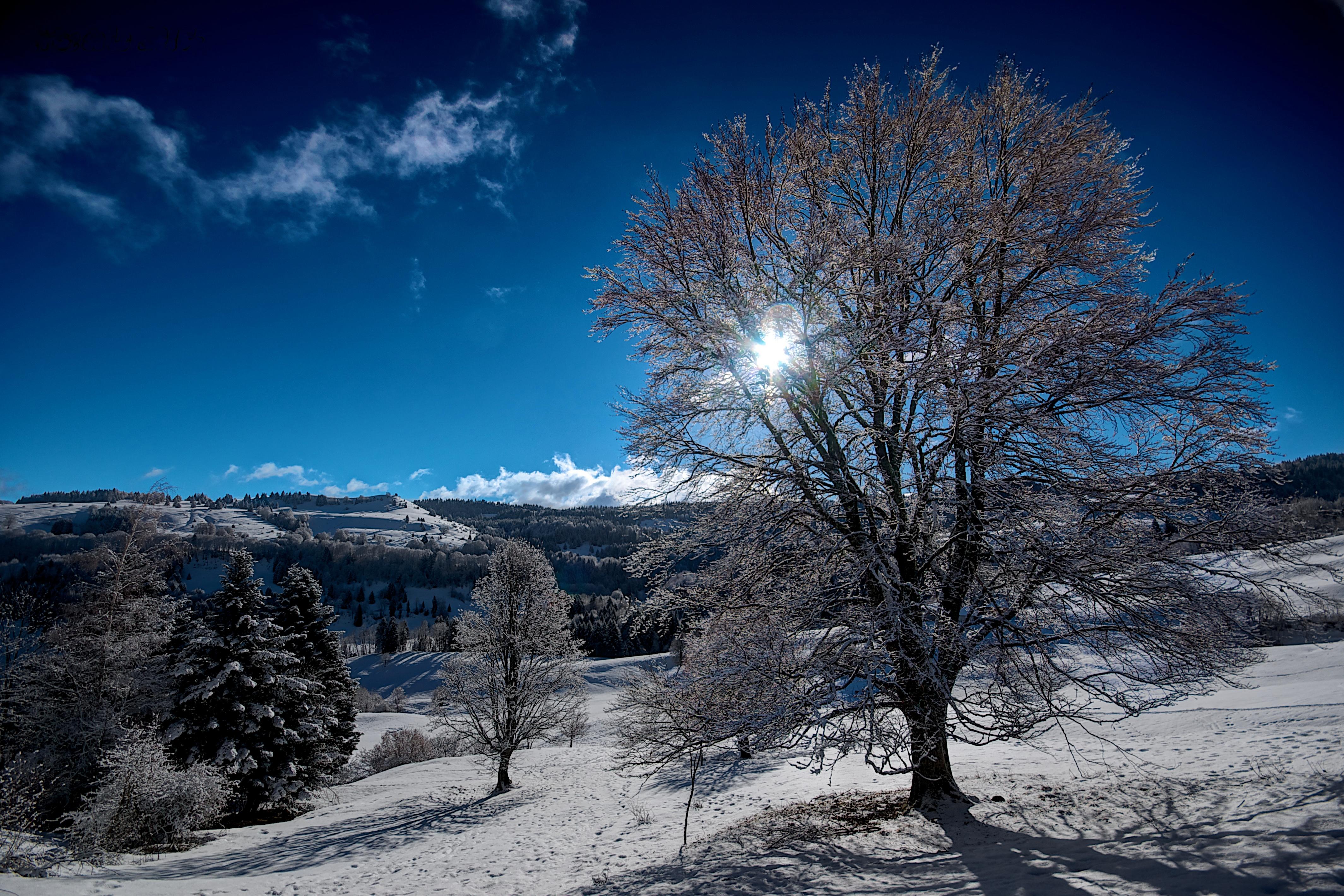 Free photo Screensaver snow, mountains on the monitor