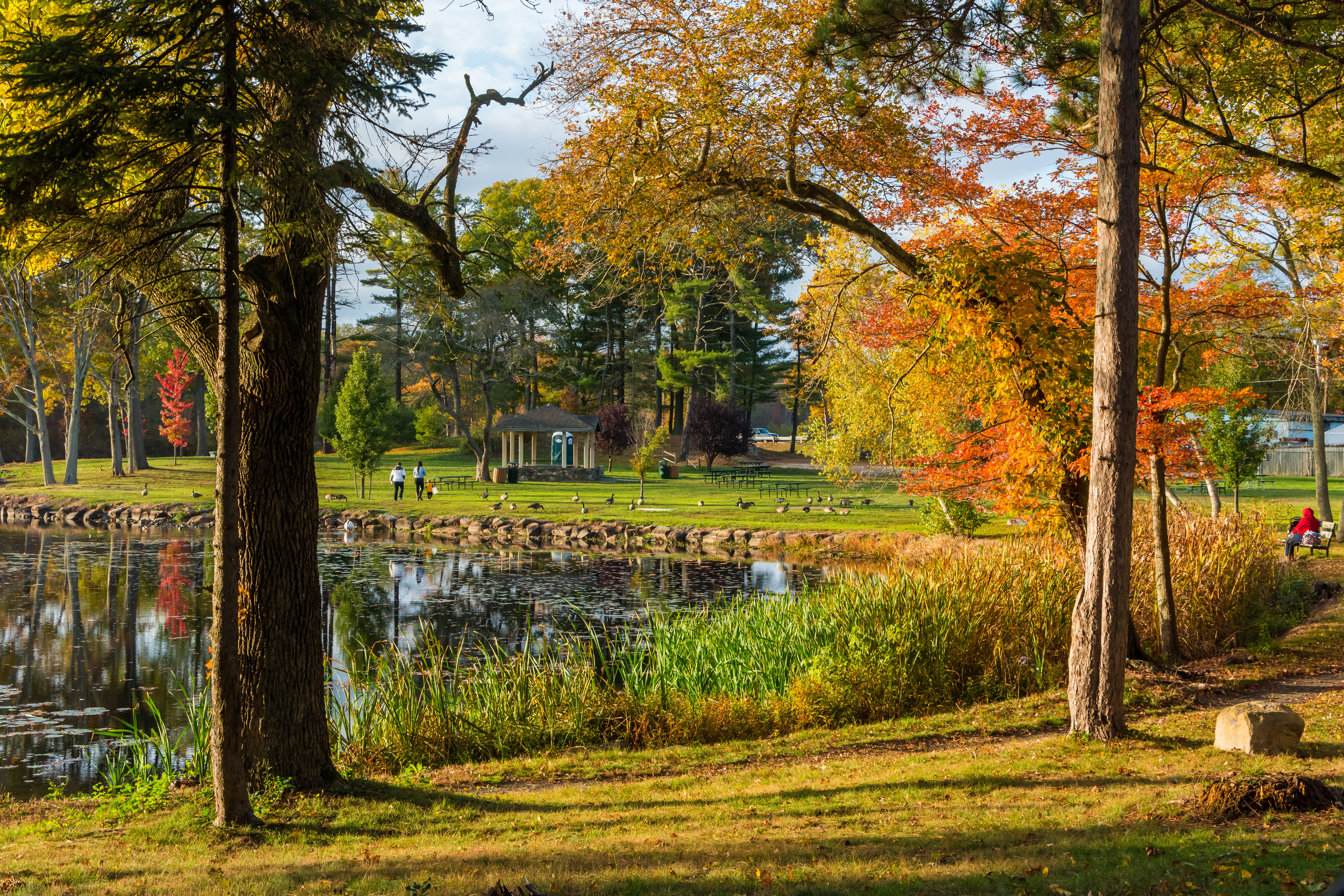 Wallpapers landscape Plymouth Brockton on the desktop