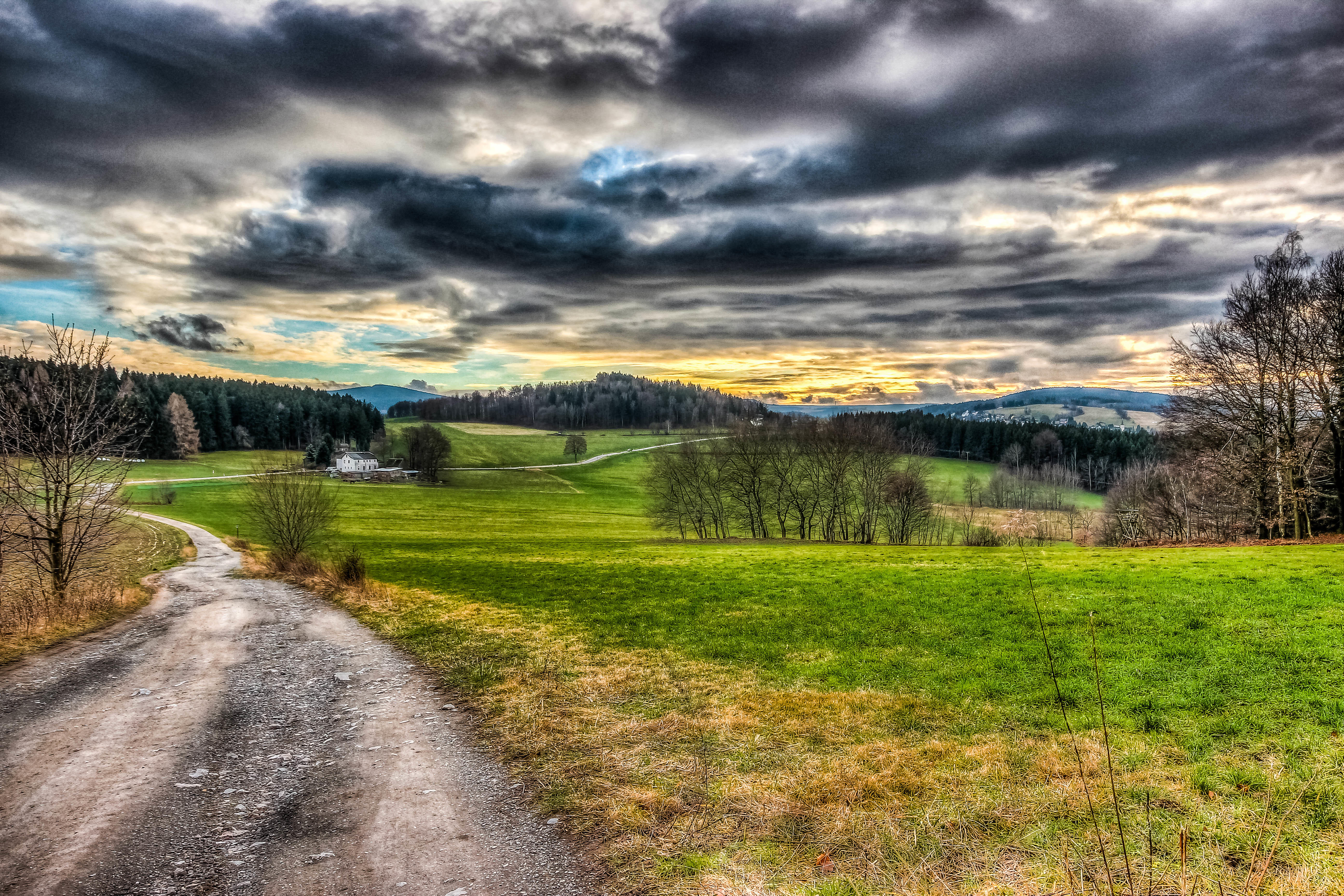 Wallpapers village road field trees without leaves on the desktop