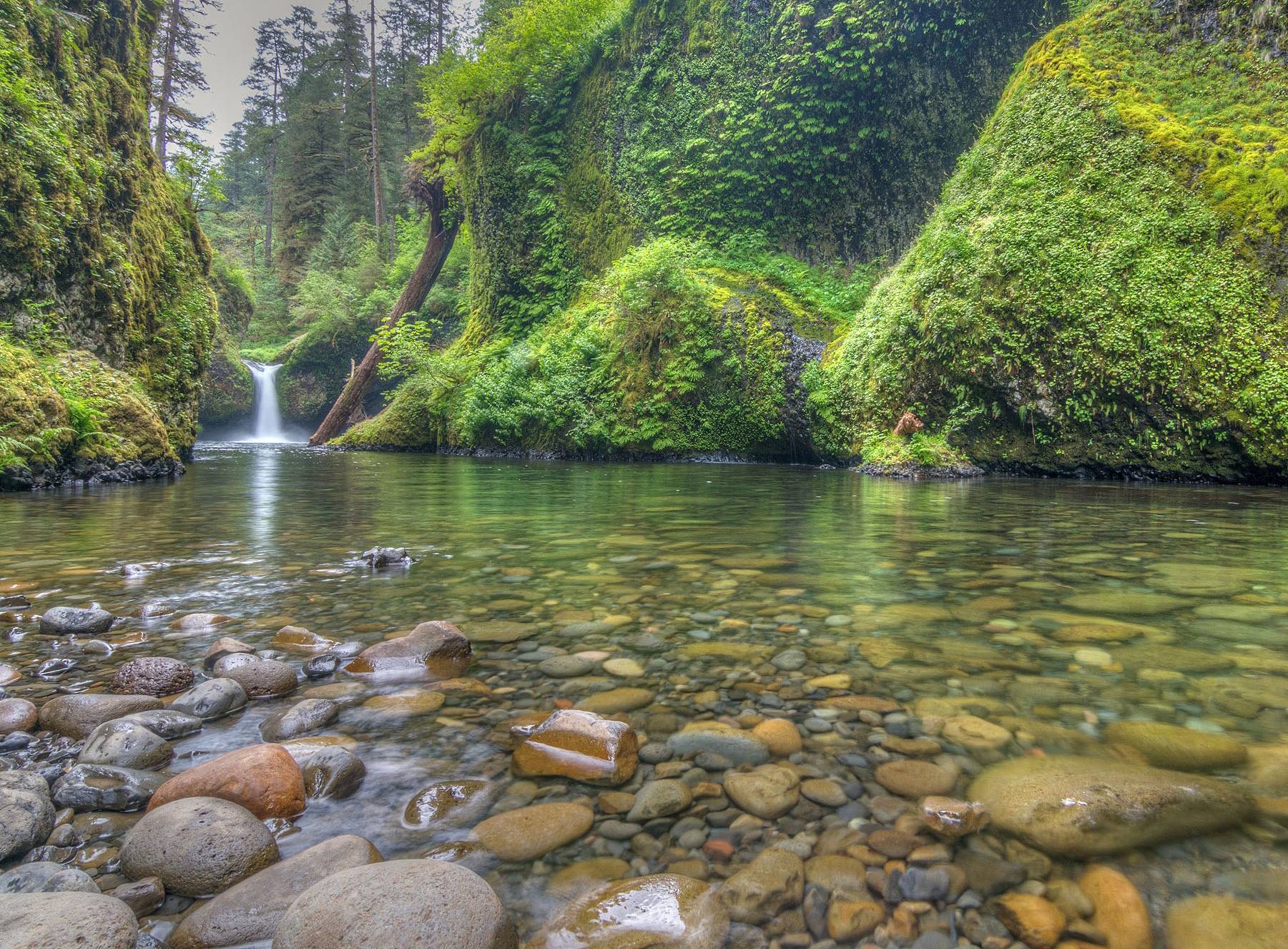 Обои Punchbowl Falls Columbia River Gorge водопад на рабочий стол