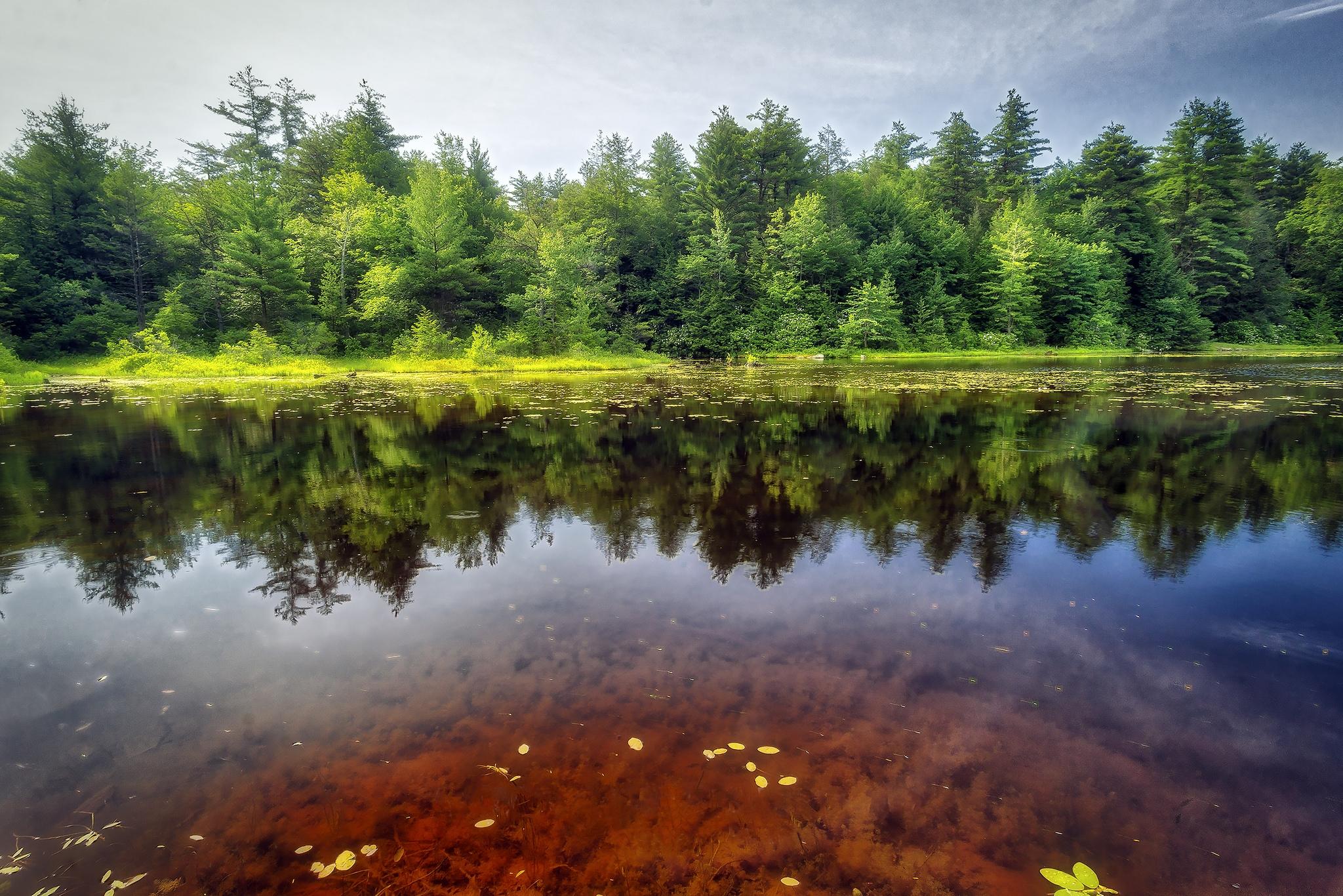 Обои река природа Рикеттс Glen State Park на рабочий стол