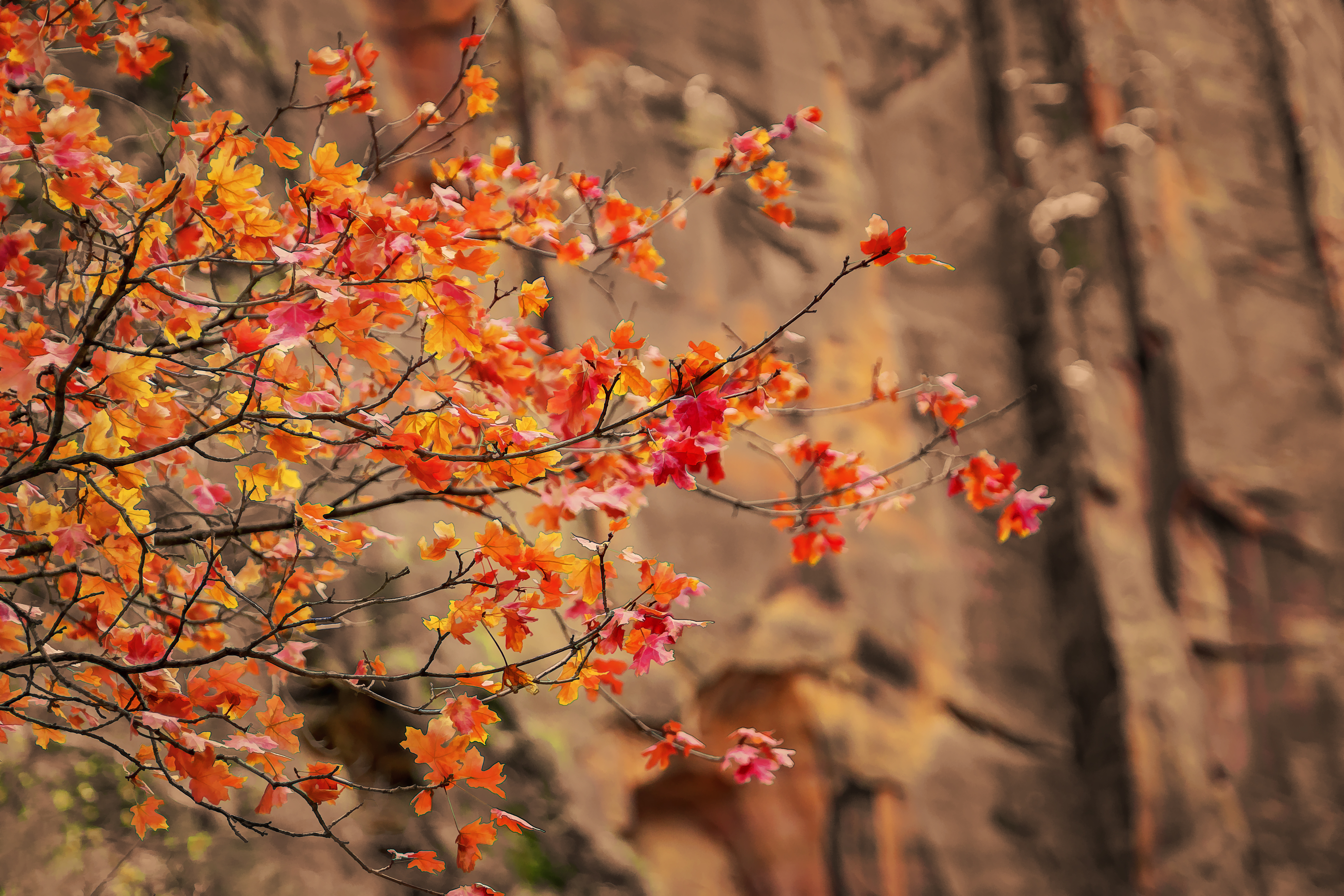 Wallpapers American national Park attraction beautiful on the desktop