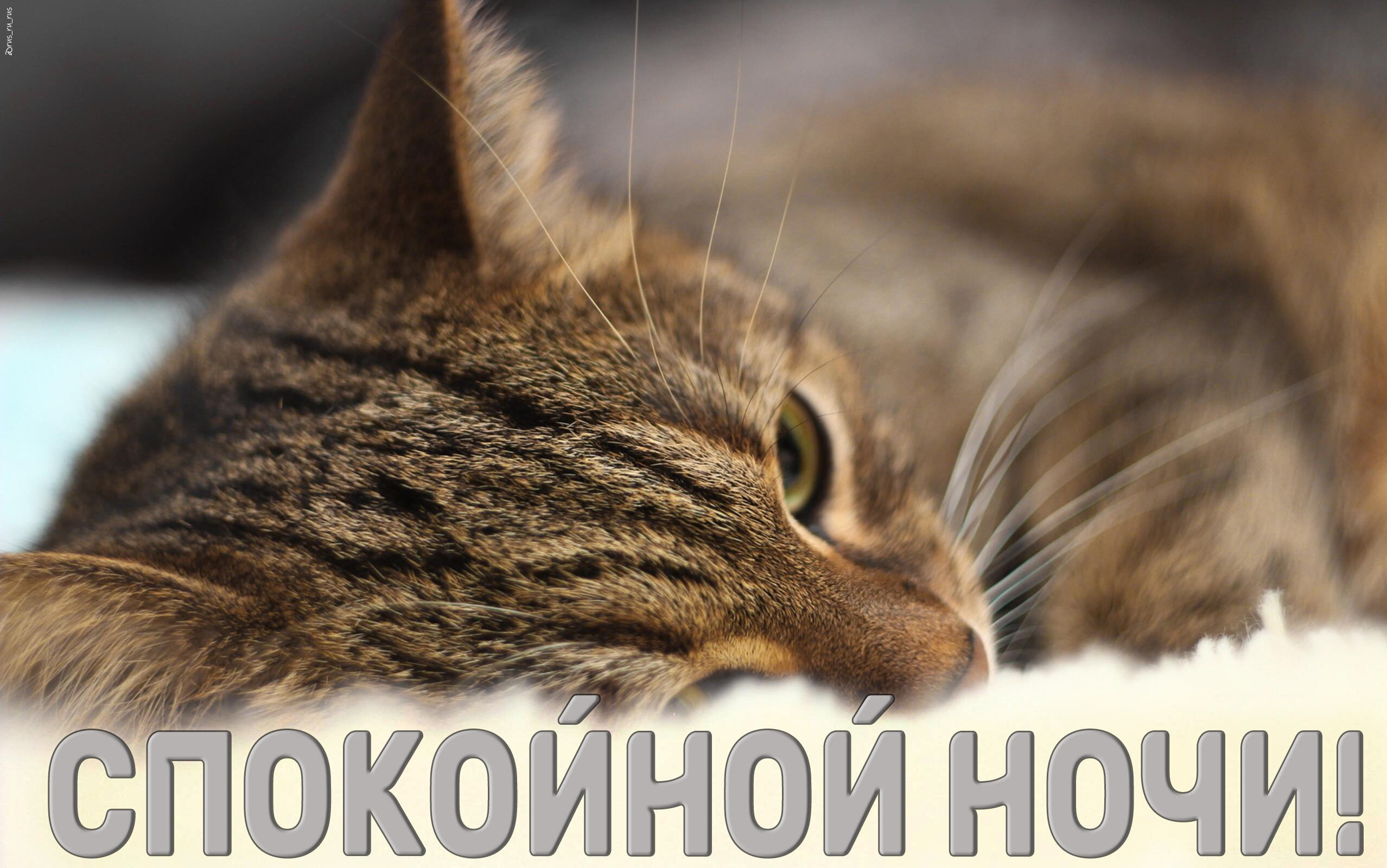 Бесплатная открытка Спокойной ночи @rusrurus 2