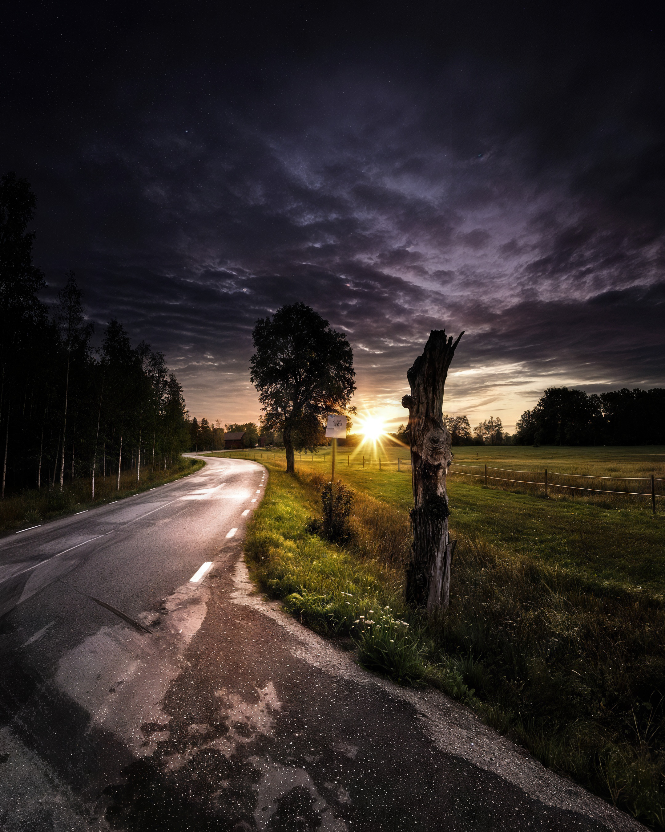 Бесплатное фото Закатная дорога: влажный асфальт, деревья и драматичное небо.