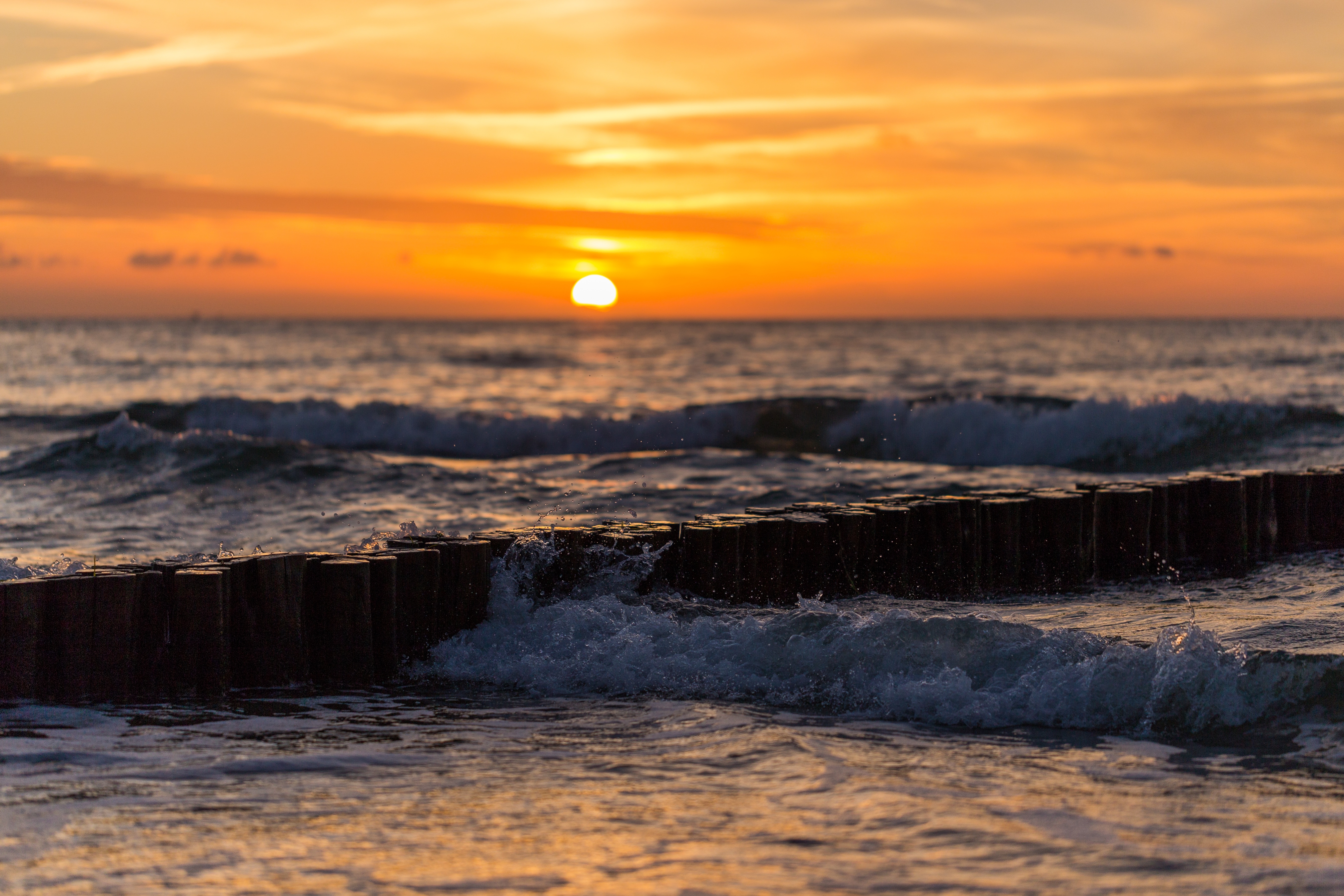 Free photo Sunset from the ocean shore