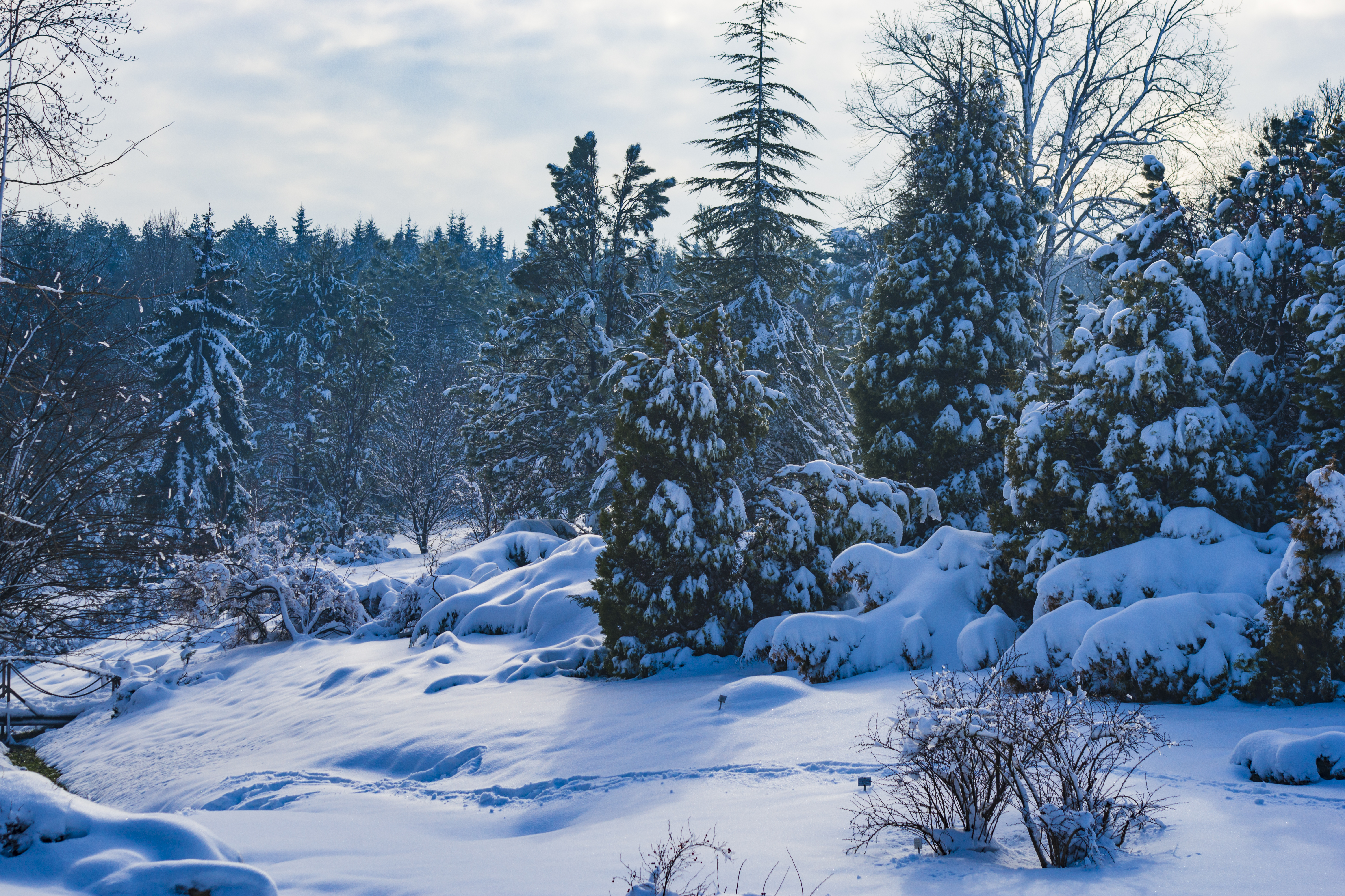 Wallpapers nature snow landscape on the desktop