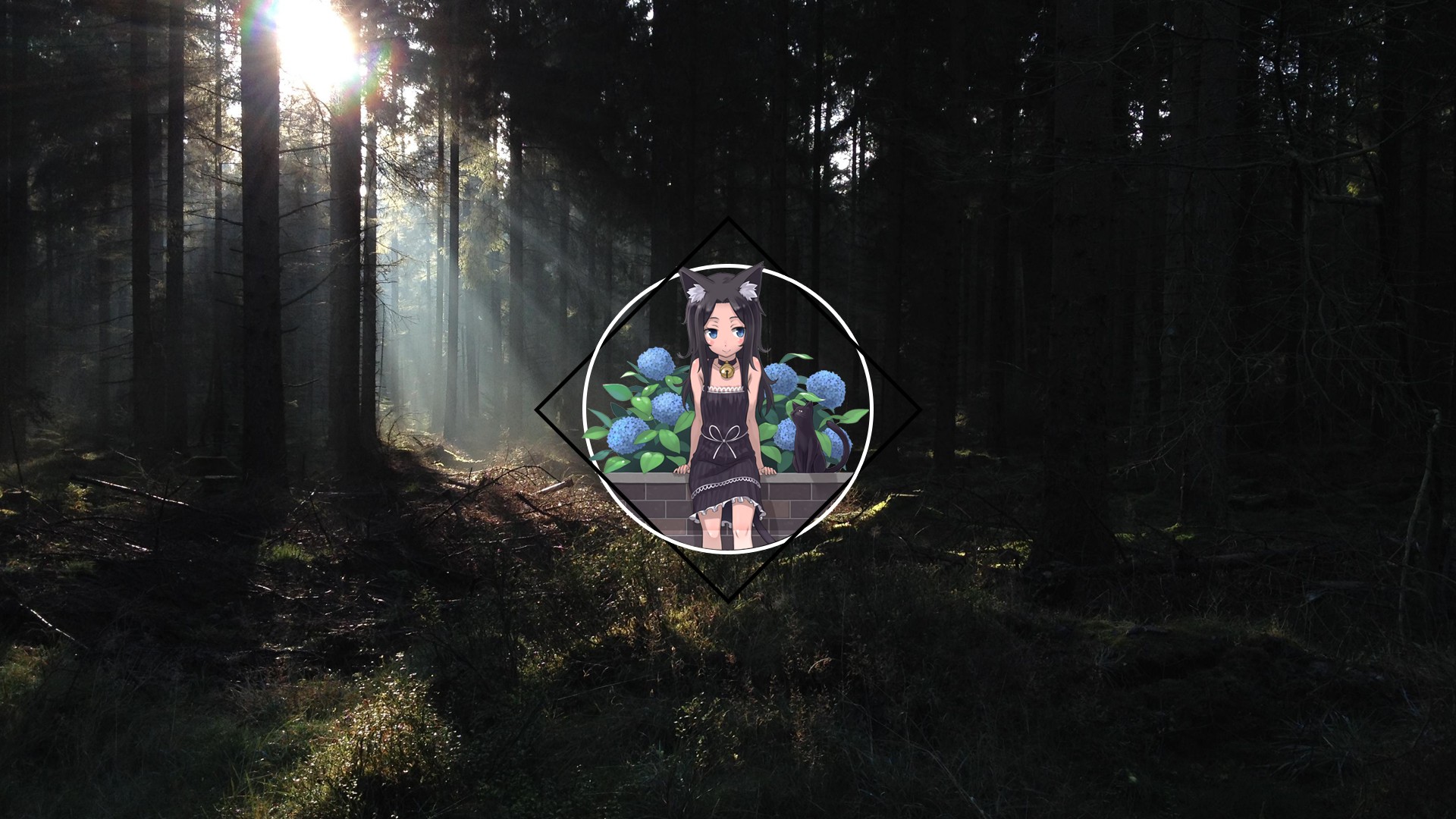 Обои солнечный свет деревья лес на рабочий стол