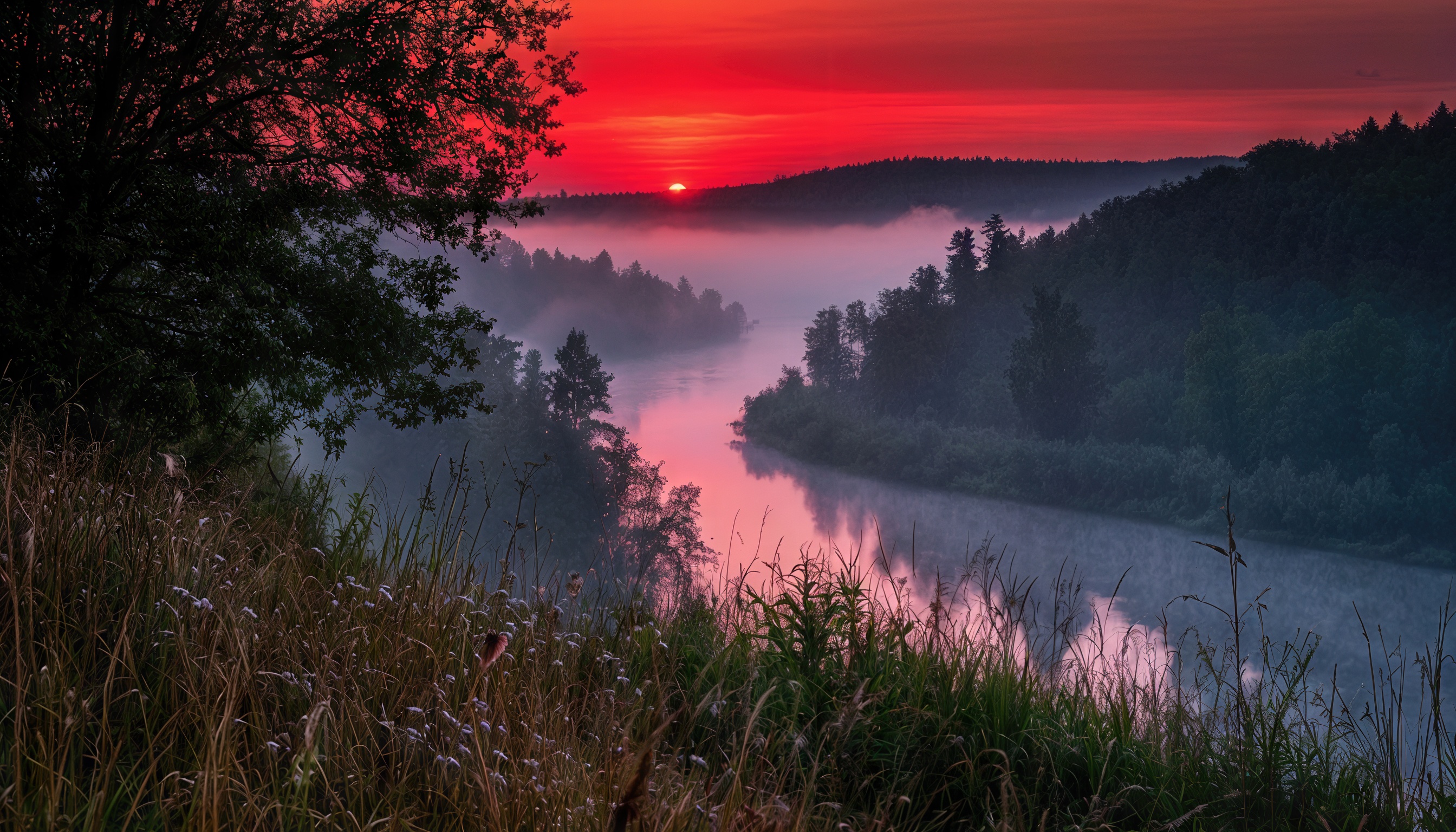 日落在森林里的河流与雾和反射的太阳在水中。