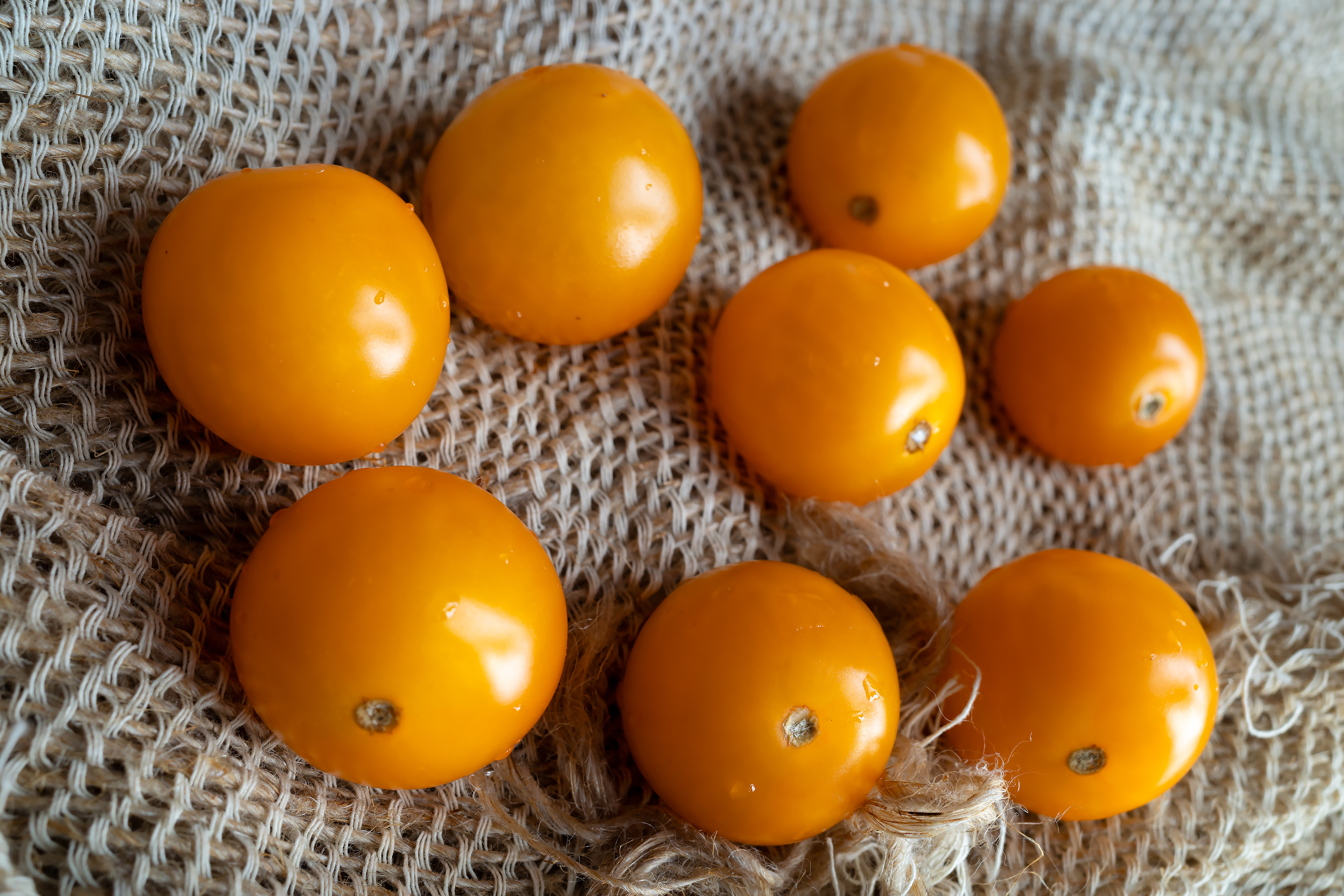 Оранжевые помидорки на фоне из мешковины