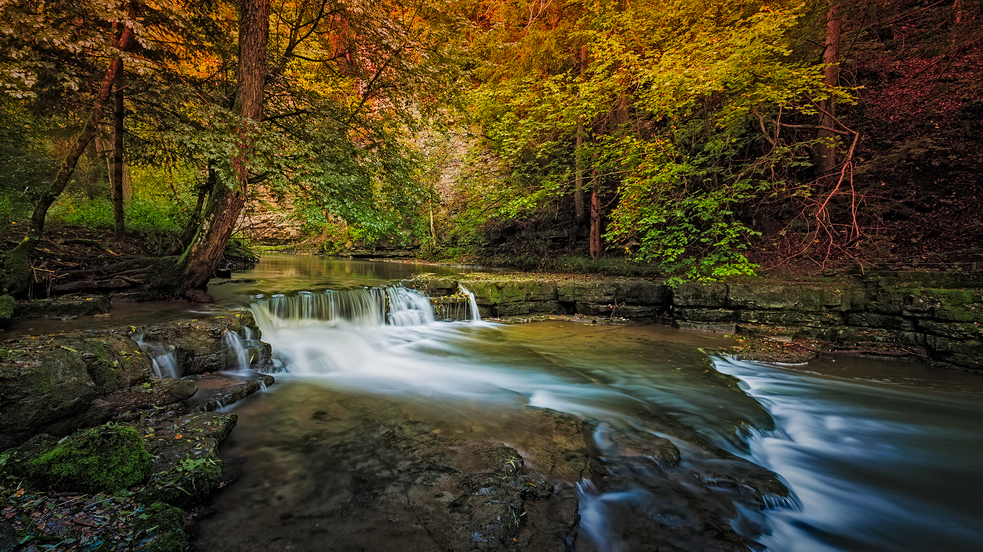 Wallpapers forest Schwarzwald creek on the desktop