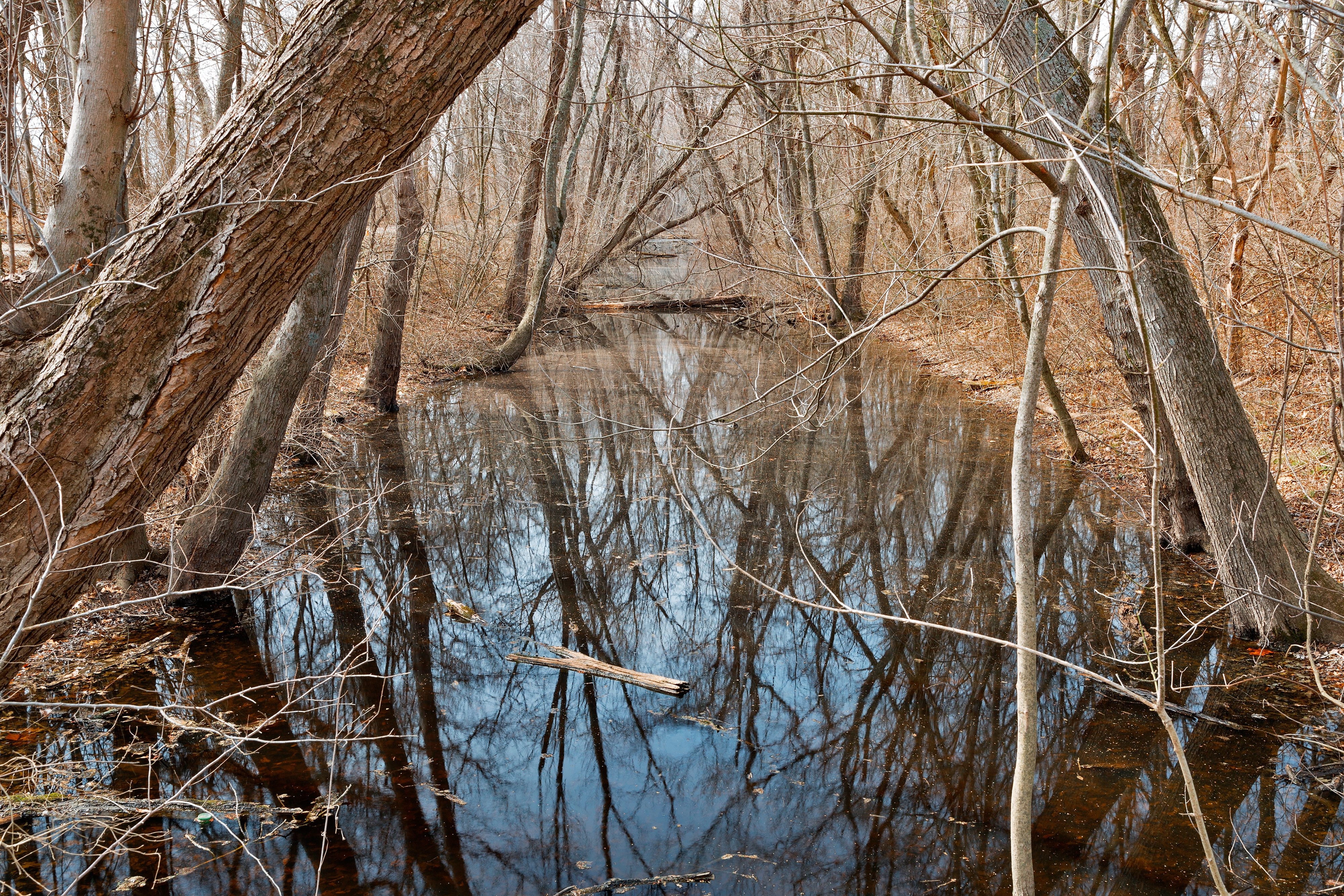 Обои отражение сухая трава река на рабочий стол