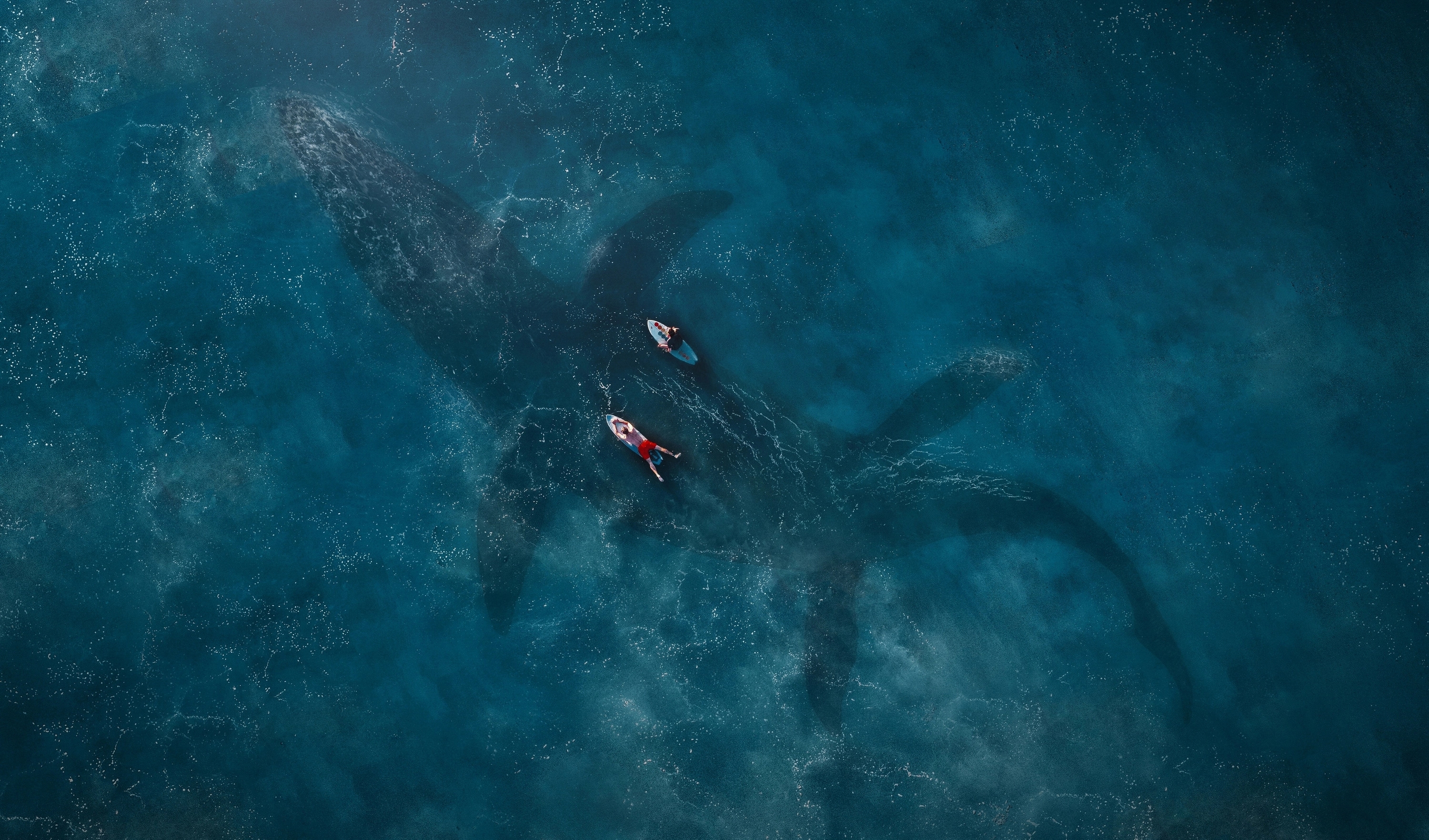 Wallpapers underwater ocean mosasaurus on the desktop