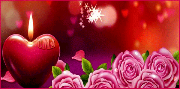 Postcard on the theme cards for your favorite woman flowers pink roses download for free
