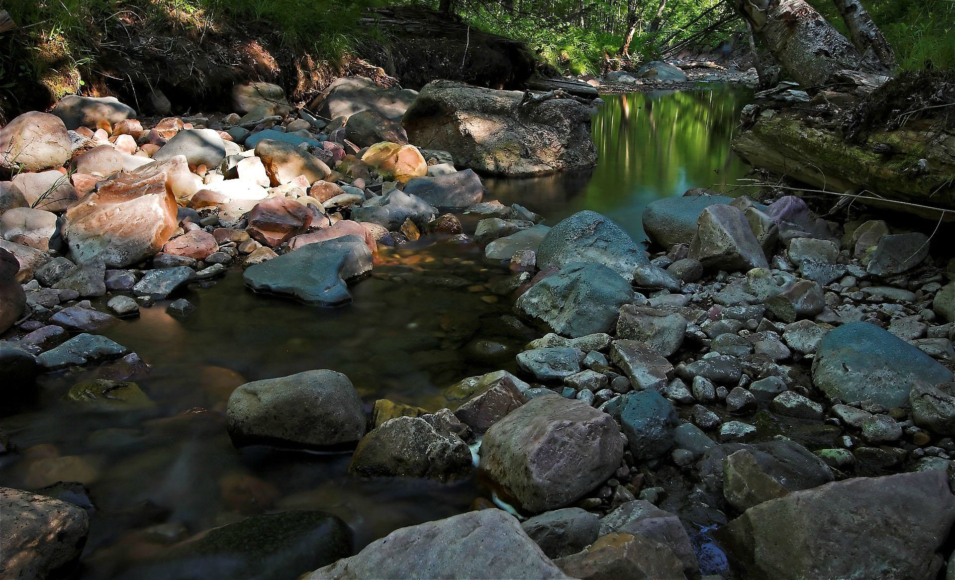 Wallpapers pond water nature on the desktop