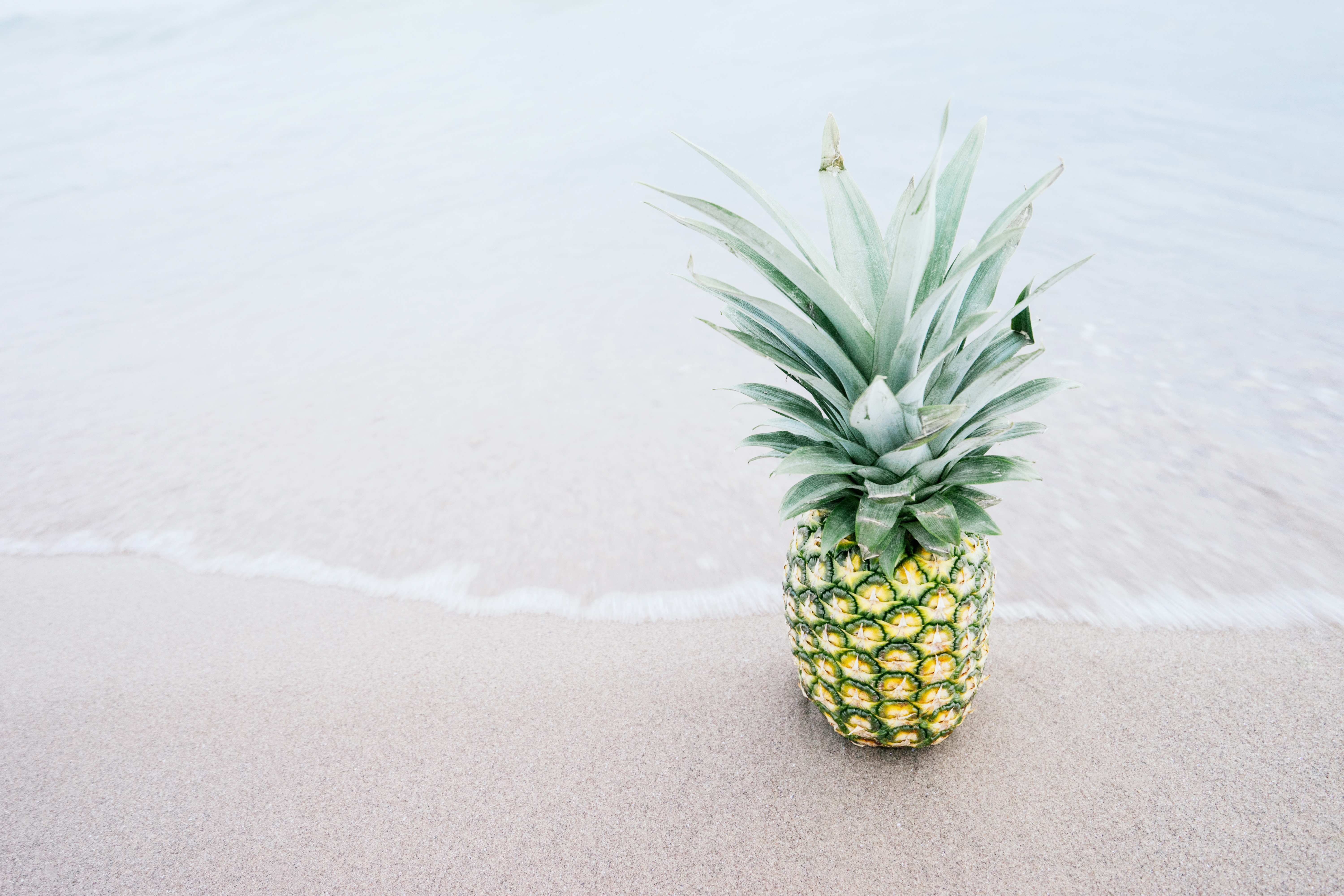 A pineapple on the seashore is washed by the waves