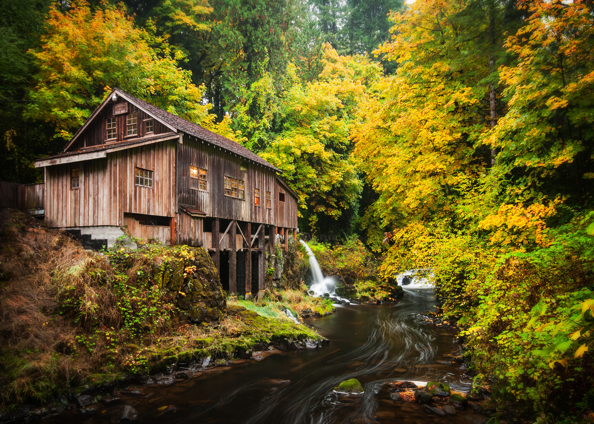 Wallpapers trees water mill landscape on the desktop