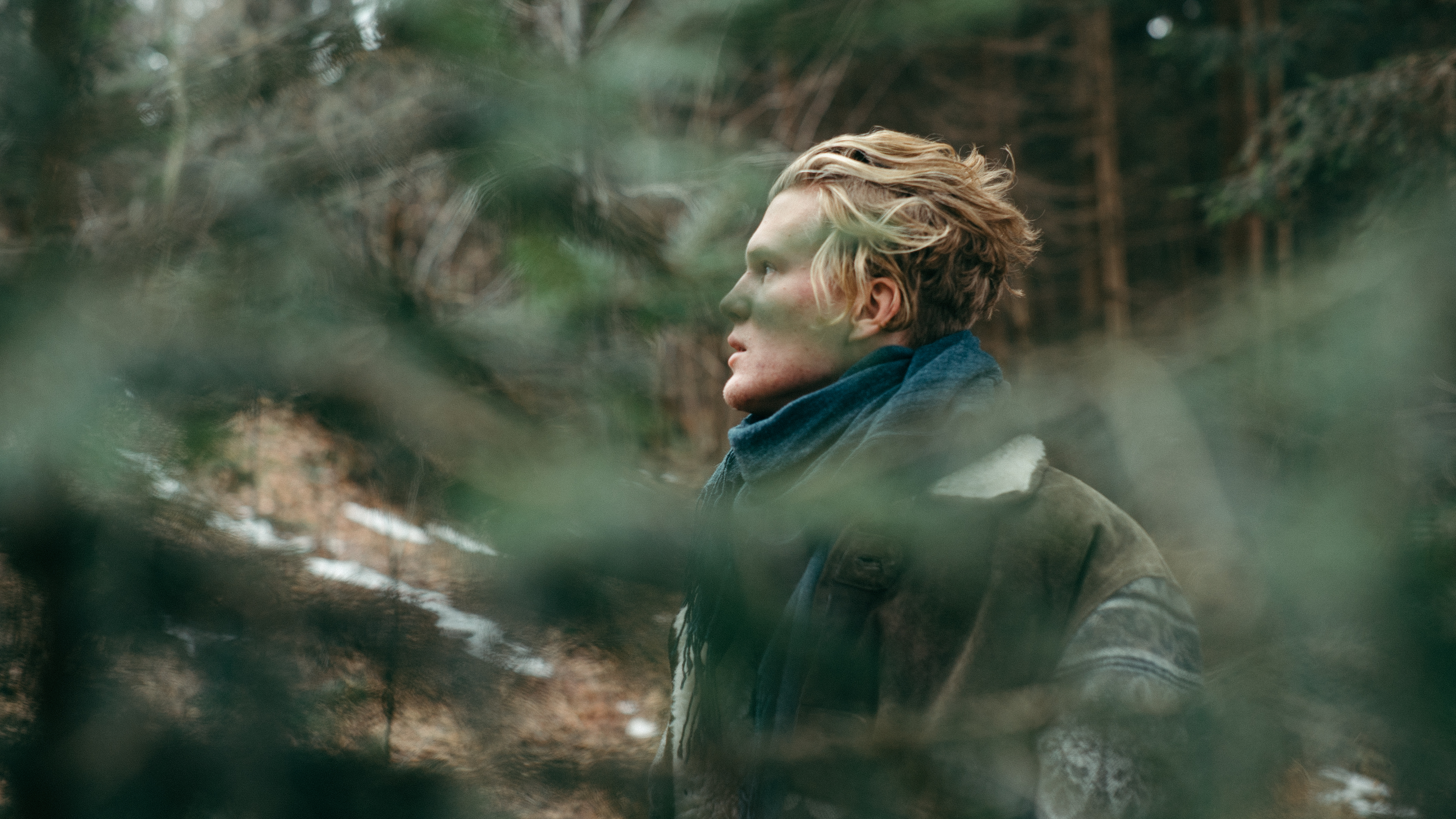 桌面上的壁纸人 自然 森林