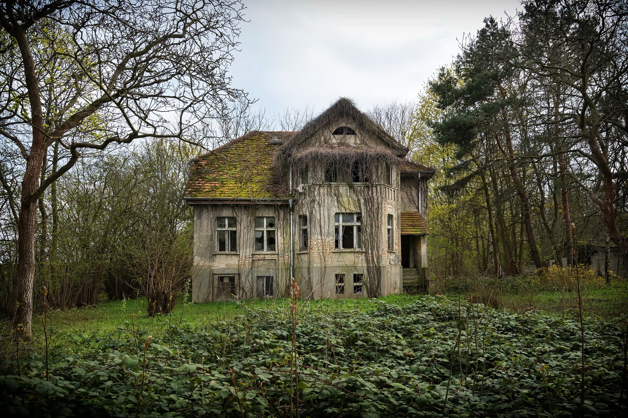 Free photo An abandoned building covered with moss and vines