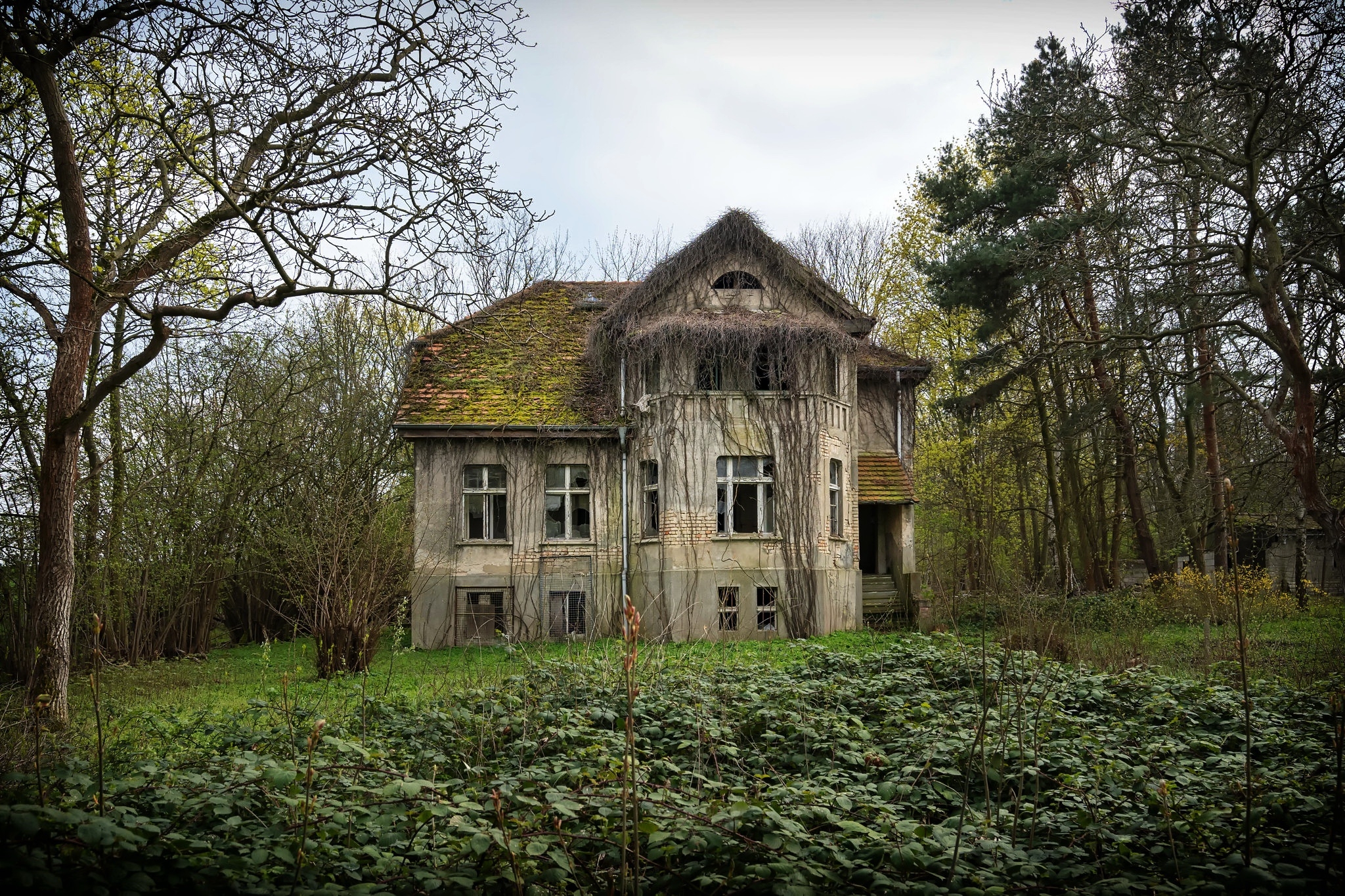 免费照片一座被苔藓和藤蔓覆盖的废弃建筑
