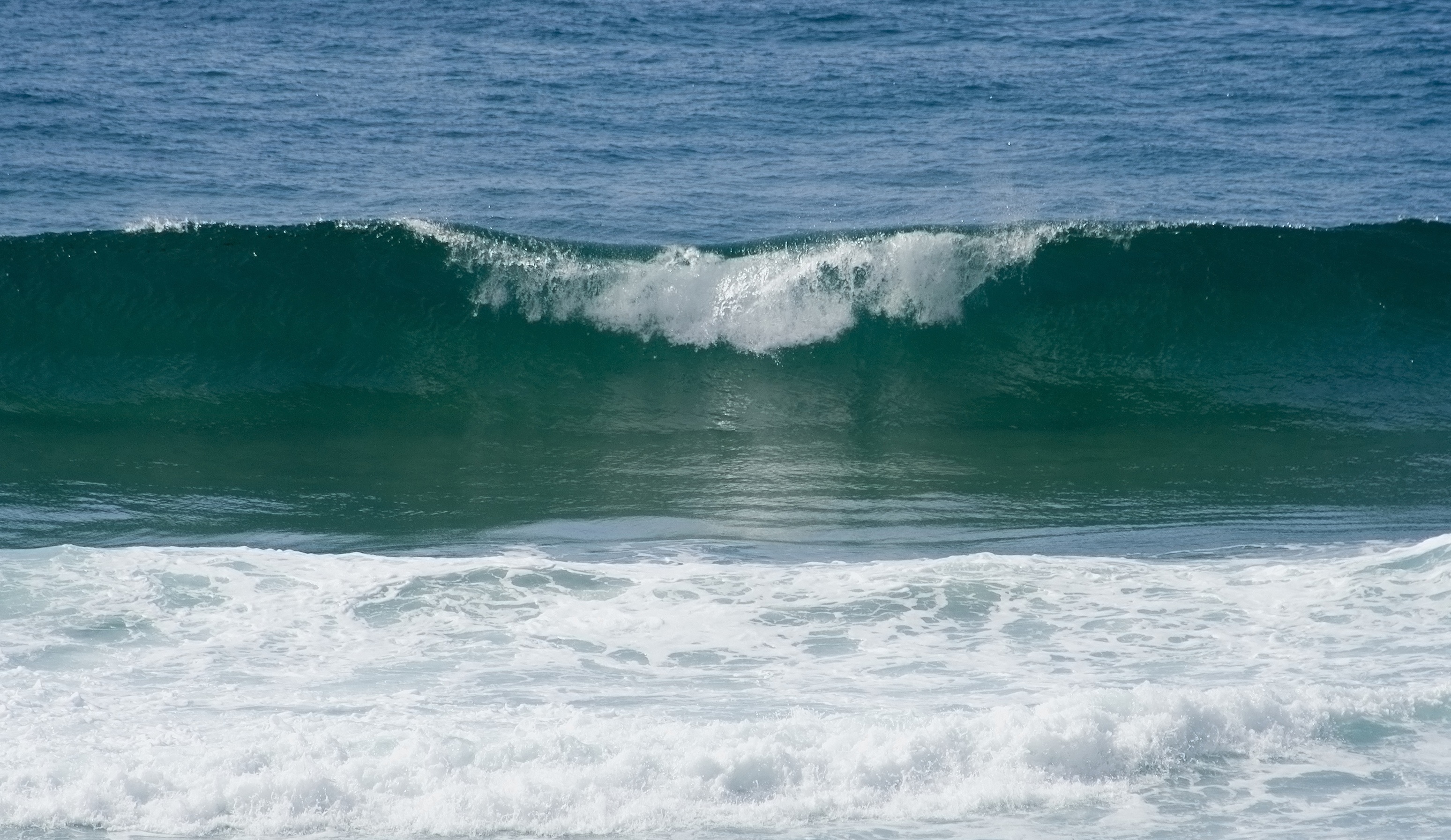 Free photo A wave approaching the beach shore