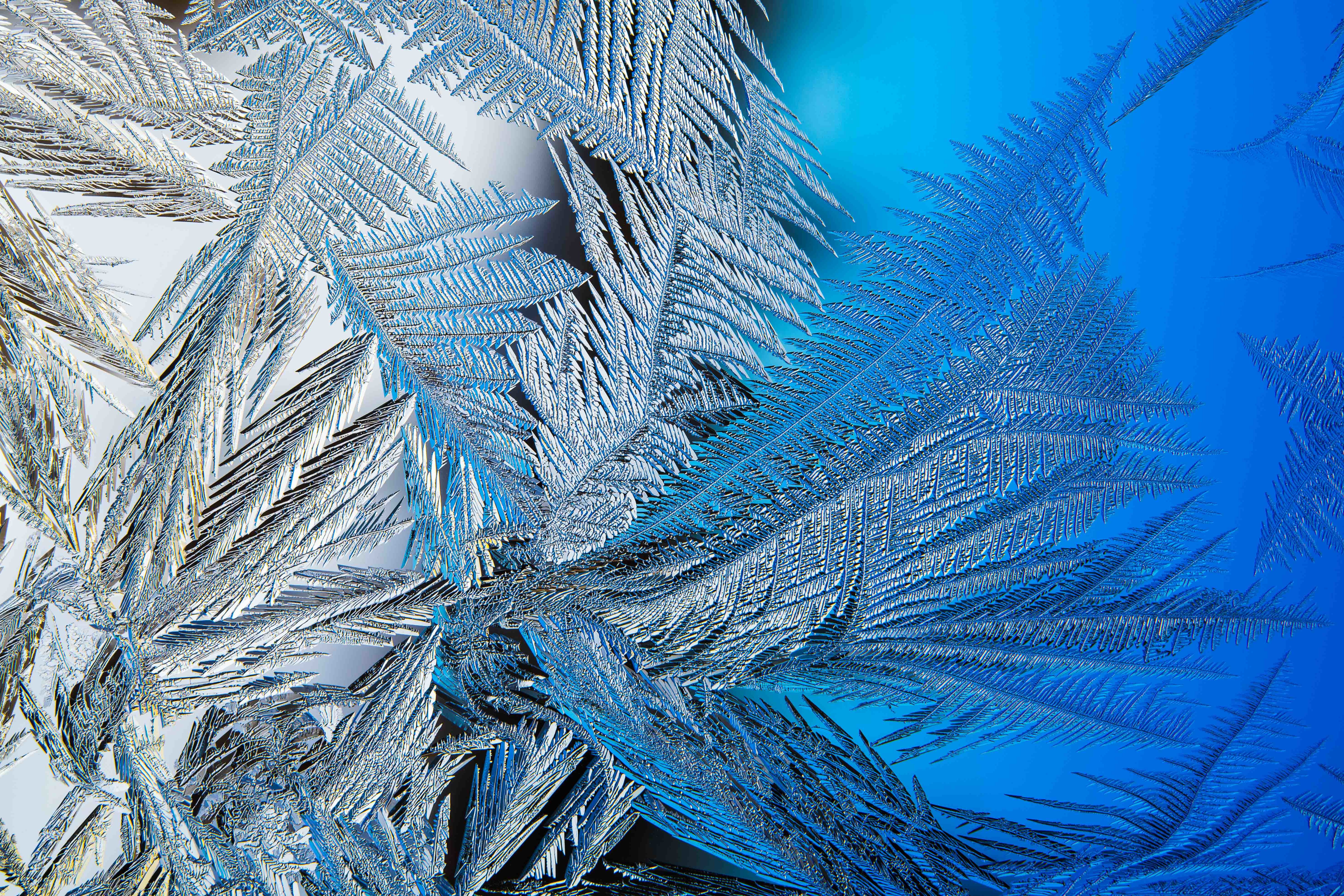 Free photo Pattern on frozen glass