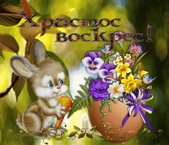 Free postcard Rabbit eats markovka