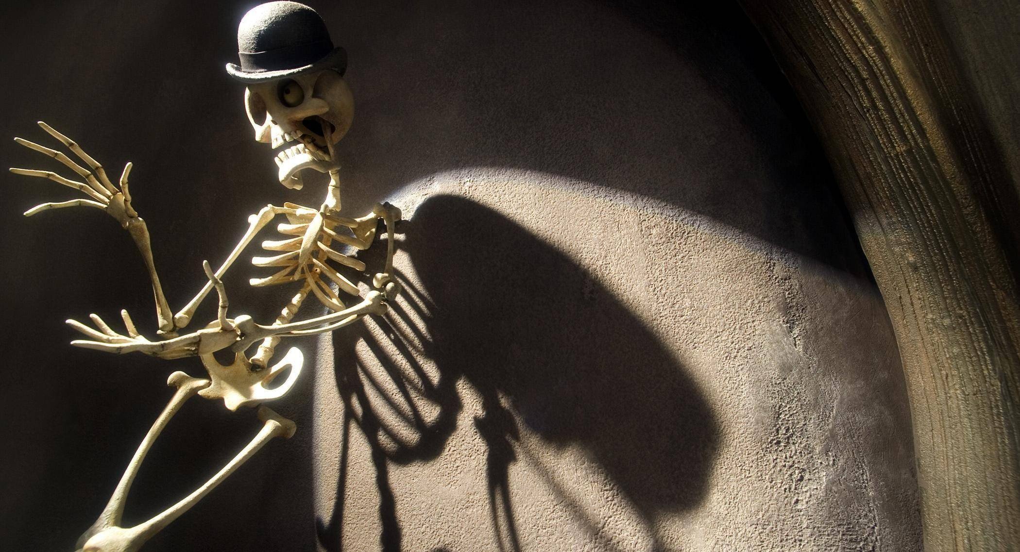 Wallpapers Halloween skeleton sunlight on the desktop