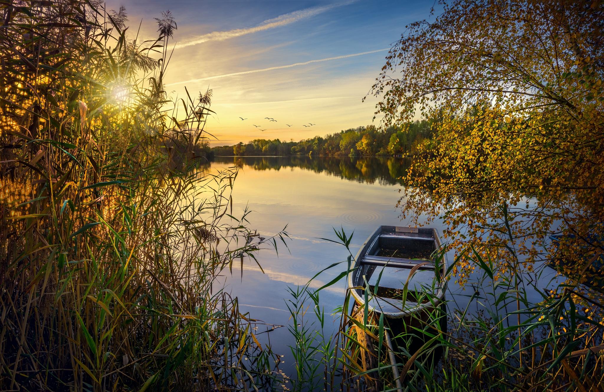 Wallpapers wooden boat river green leaves on the desktop