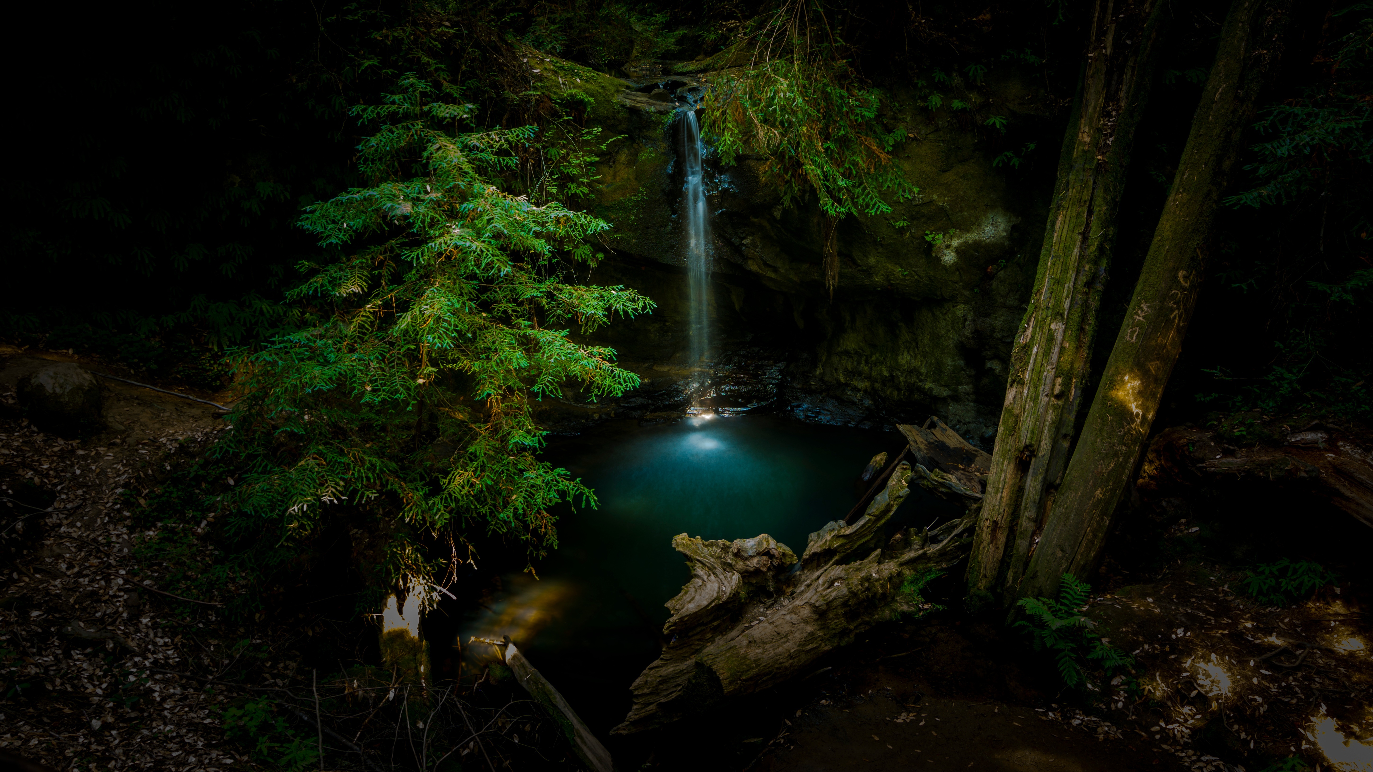 Wallpapers trees stones cascade on the desktop