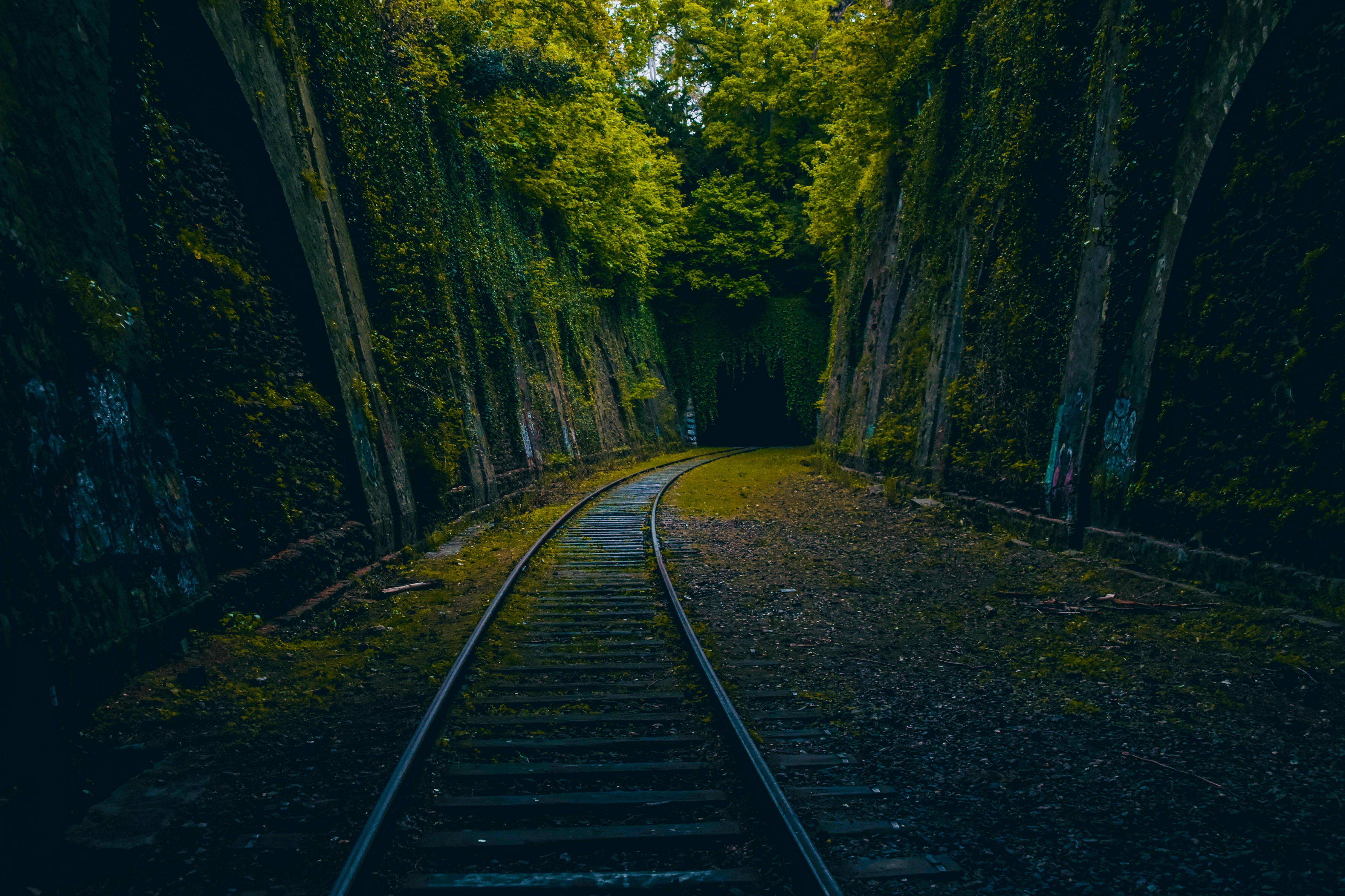 An abandoned railroad running through an artificially created gorge
