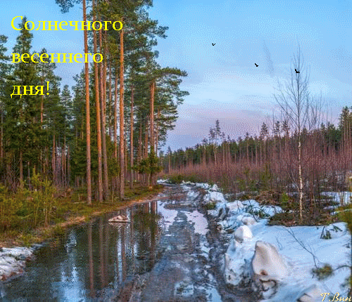 Открытка на тему весна пожелание цветы скачать бесплатно