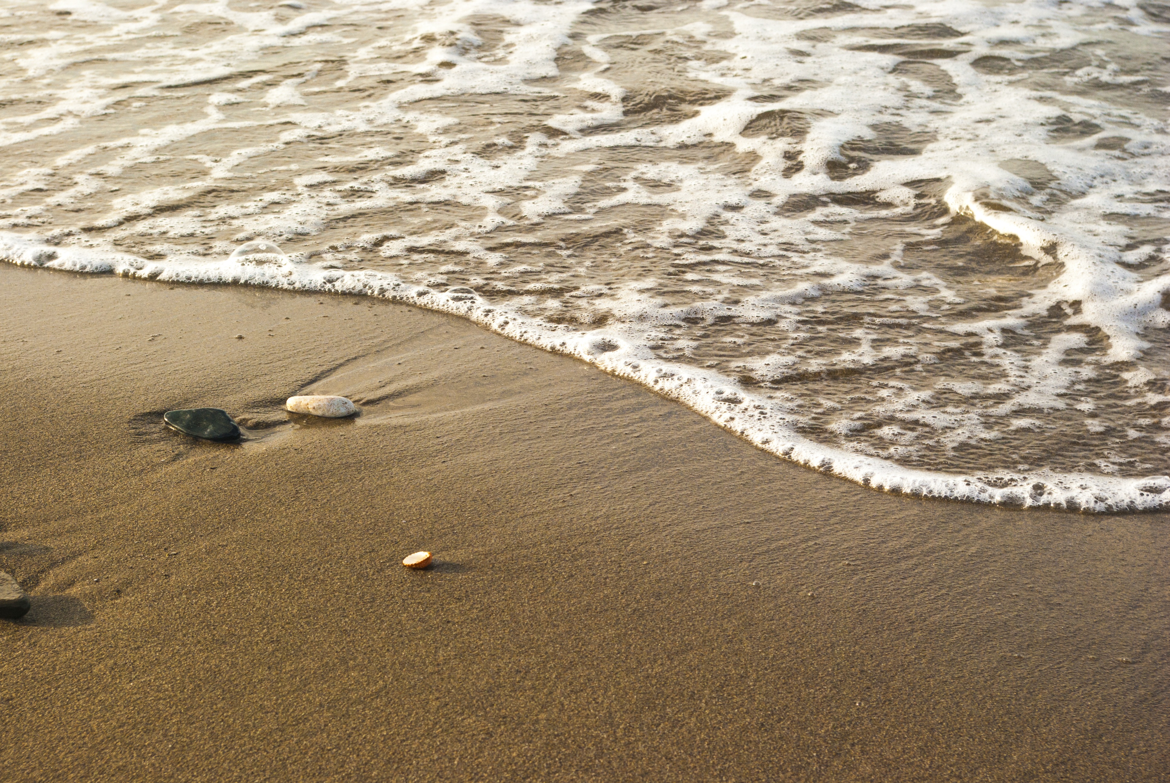 Wallpapers calm coast nature on the desktop