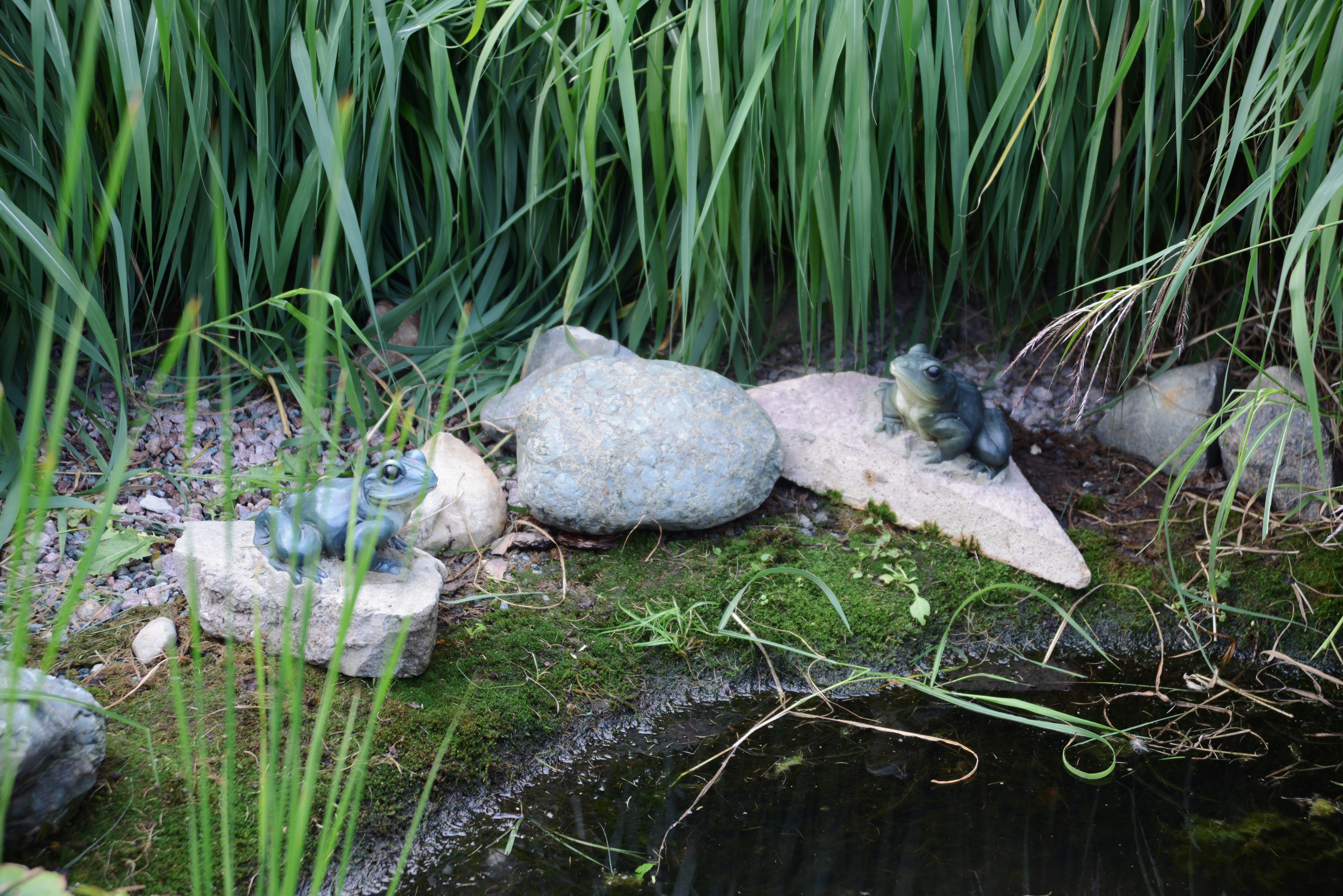 Садовая скульптура лягушки на камнях возле декоративного пруда