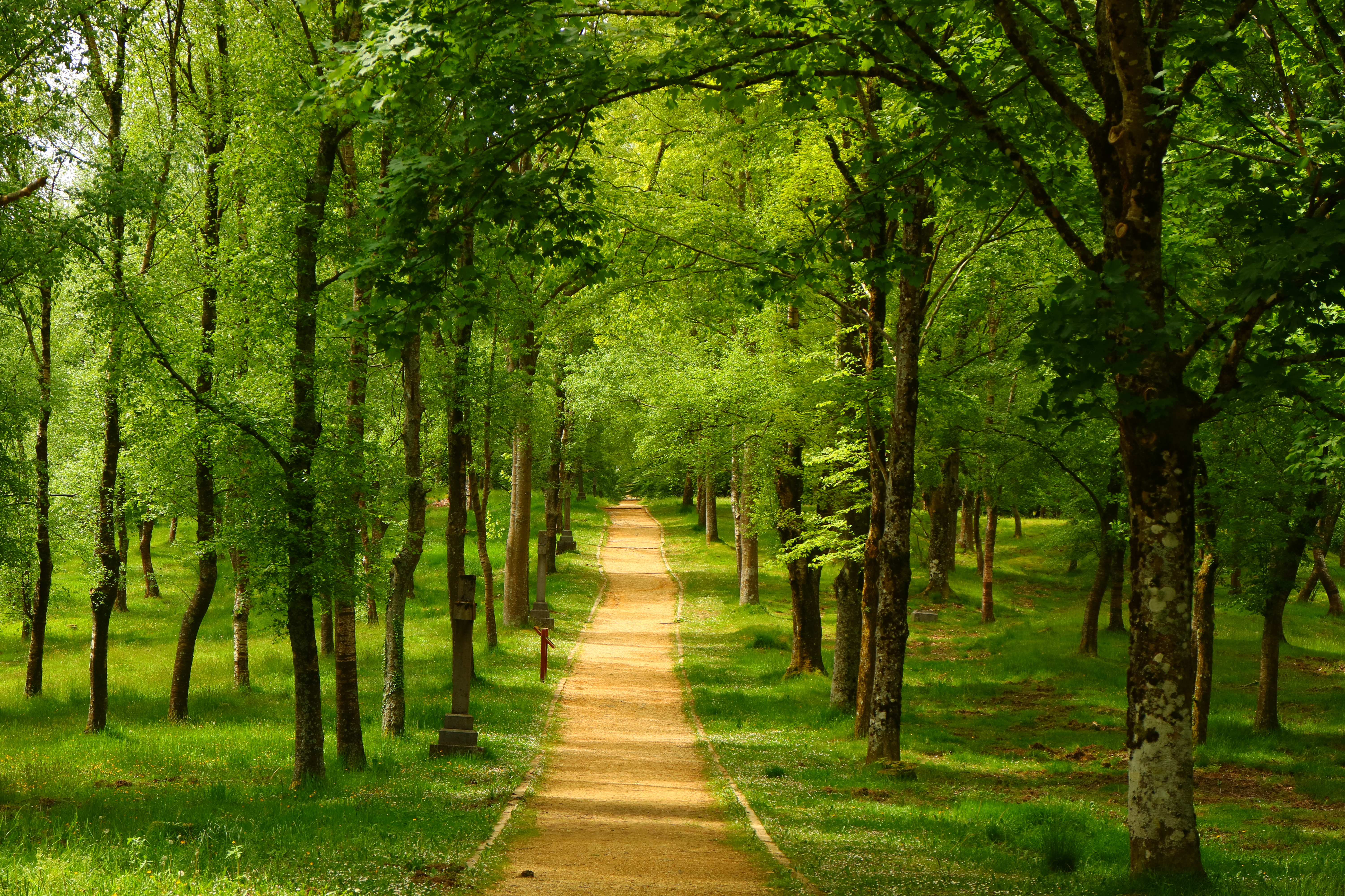 Wallpapers Urkiola Natural Park trees park on the desktop