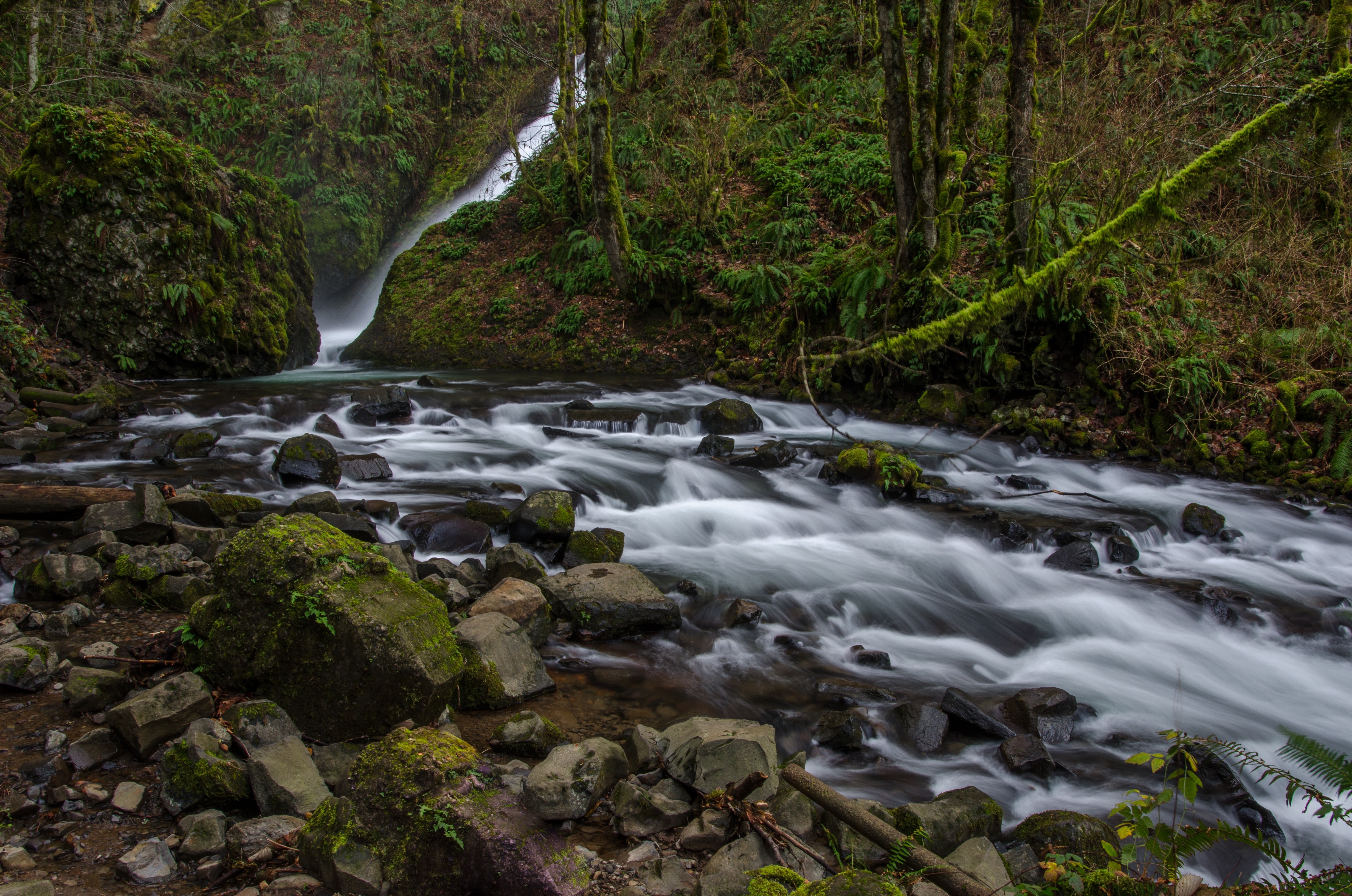 Free photo A waterfall into a shallow river