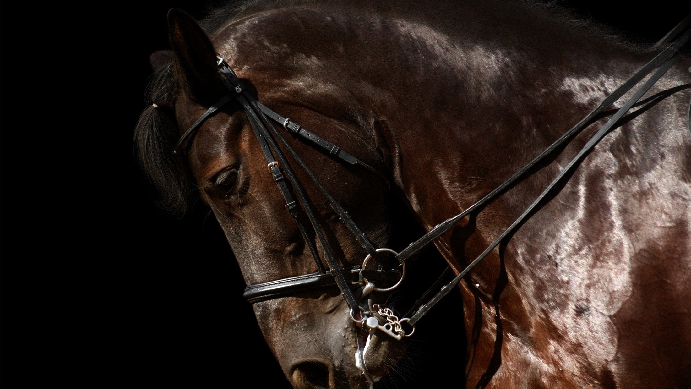 Темная грация