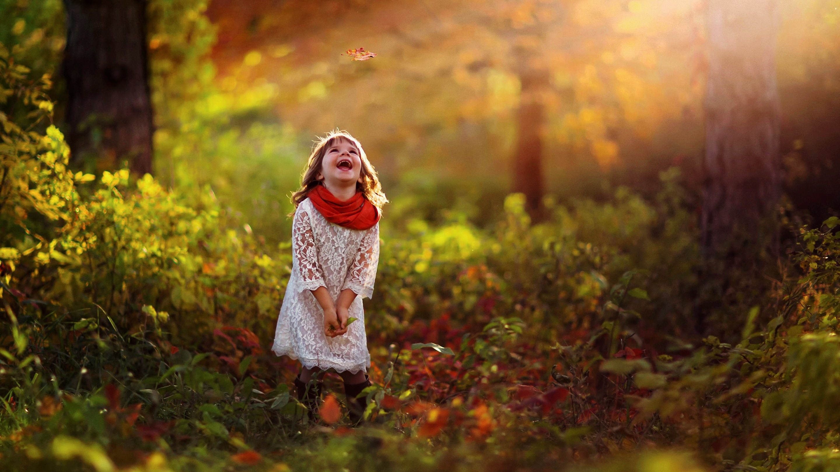 Wallpapers sunlight forest children on the desktop