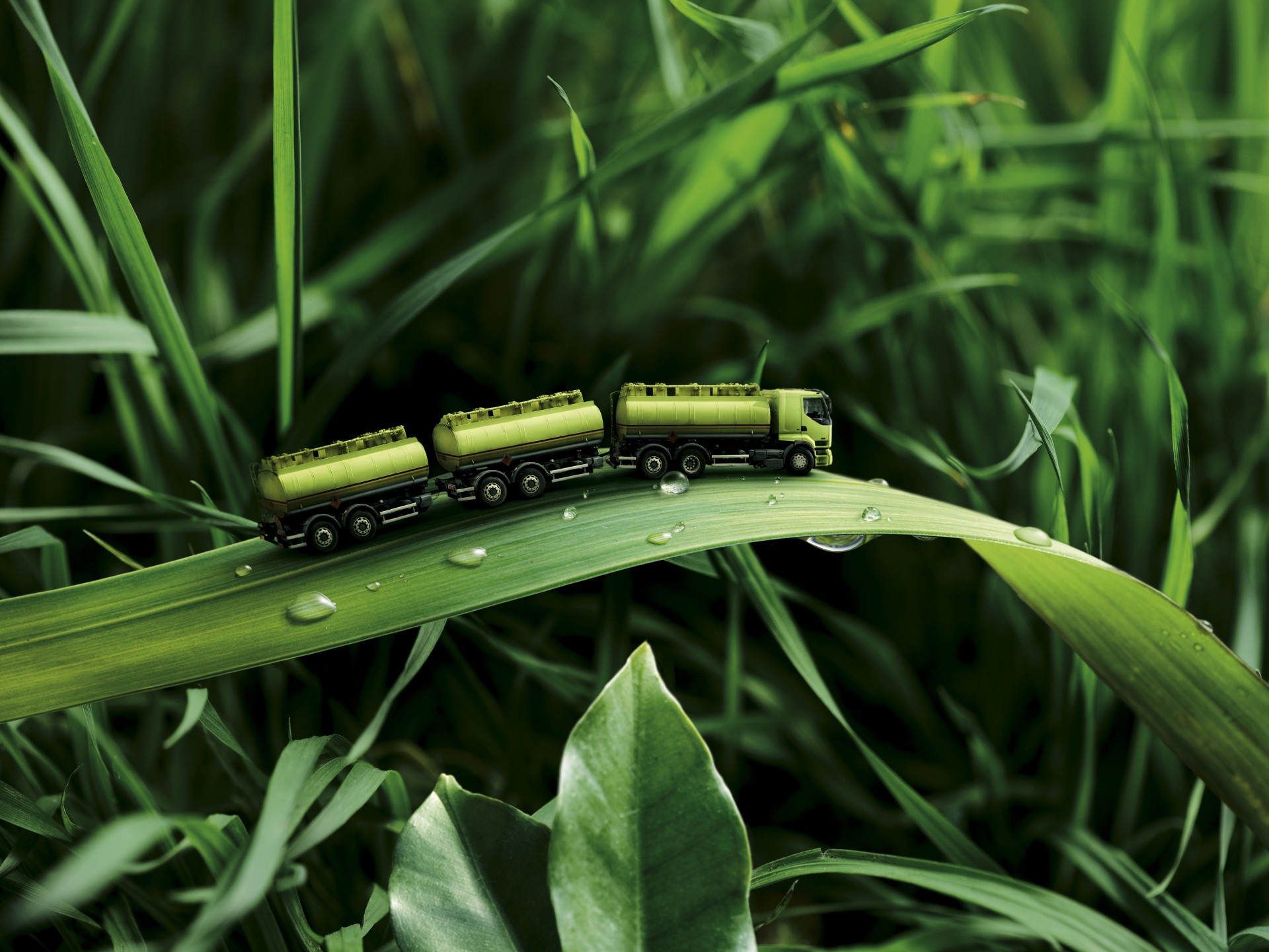 Free photo A green-colored truck is driving on a blade of grass