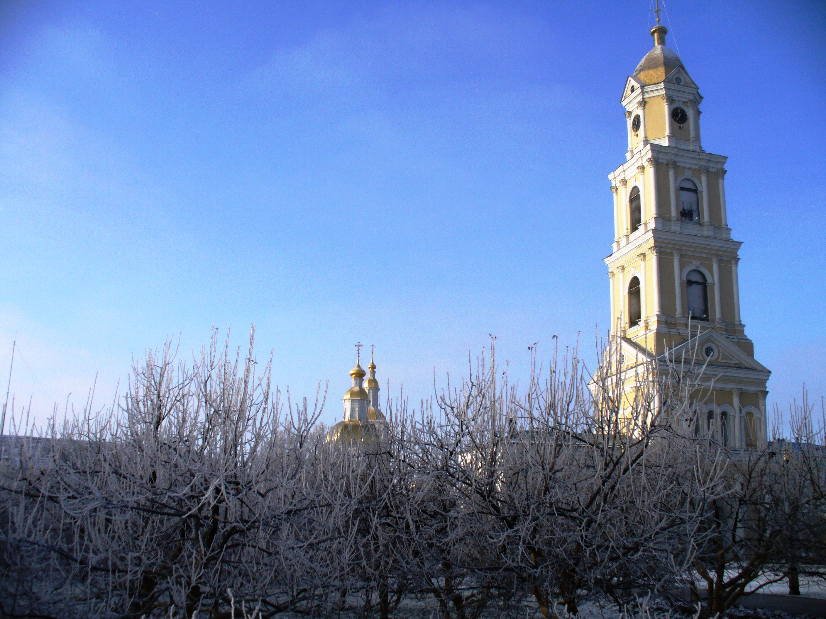 Дивеевский монастырь и деревья в иние