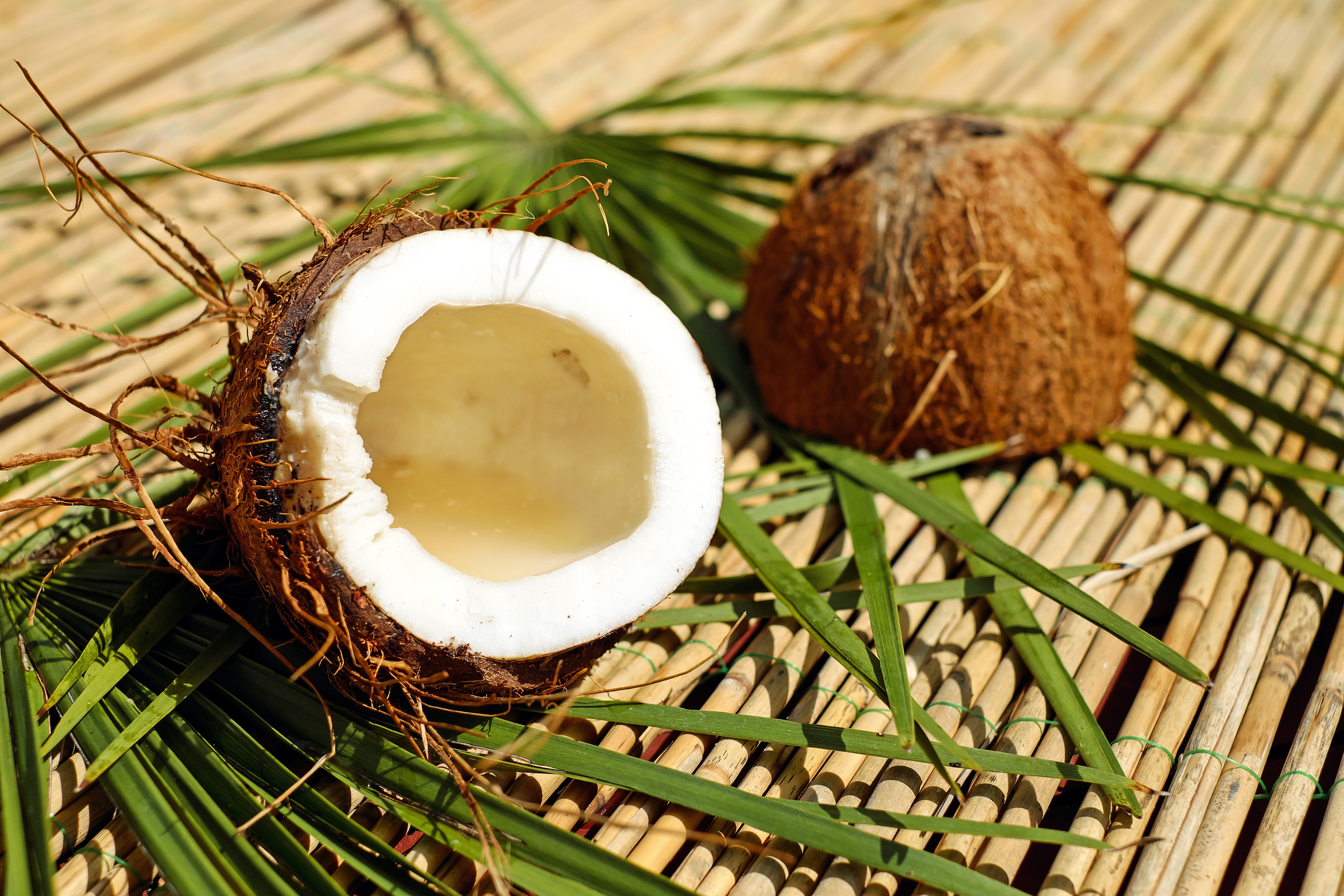 Free photo Coconut broken in half