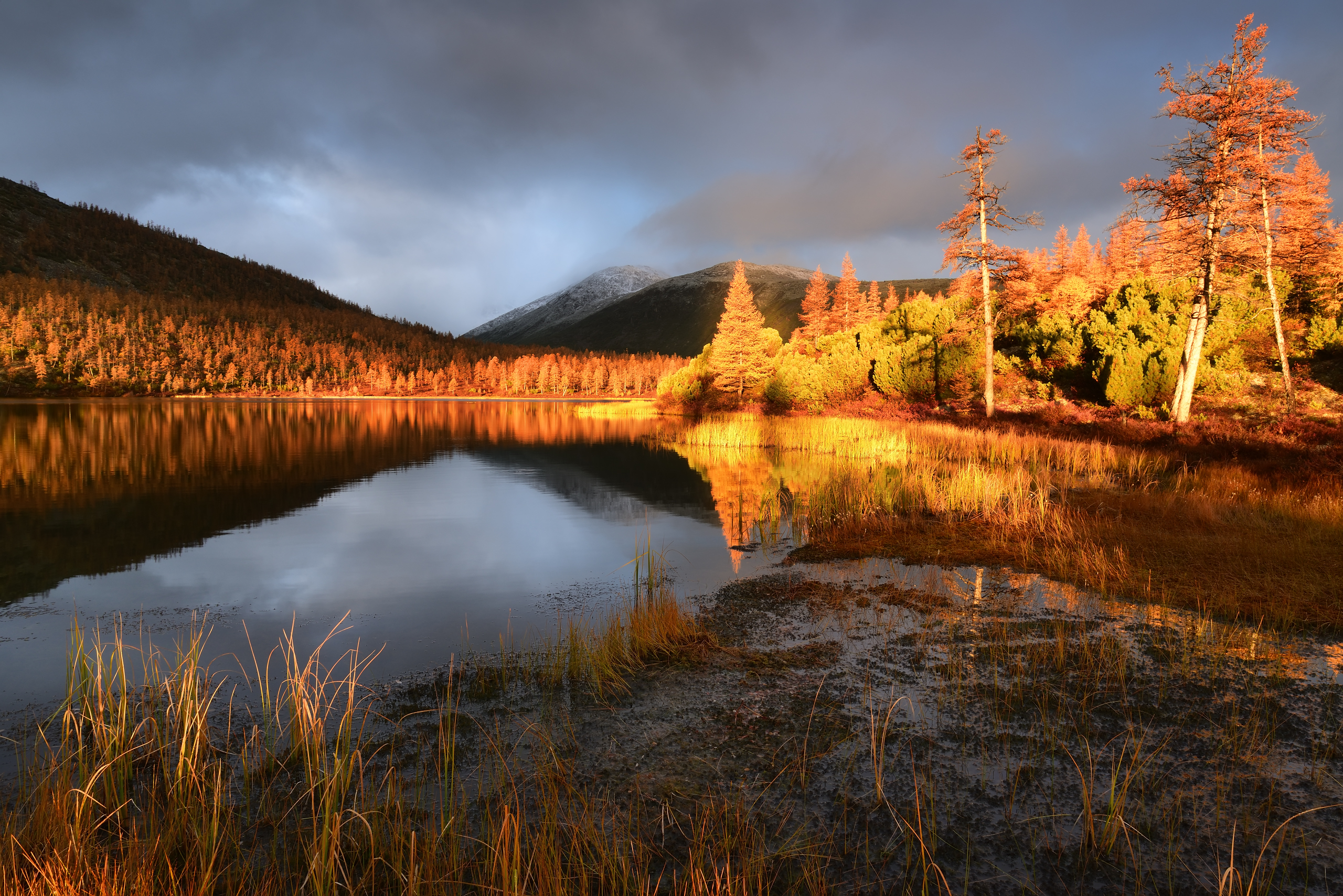 Free photo Paints autumn sunset