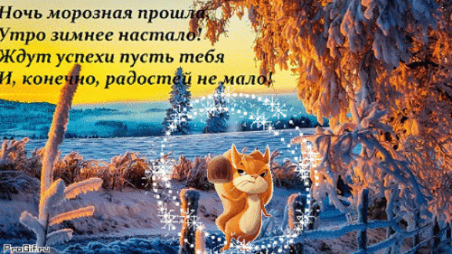 主题为雪 木材 天空的明信片免费下载