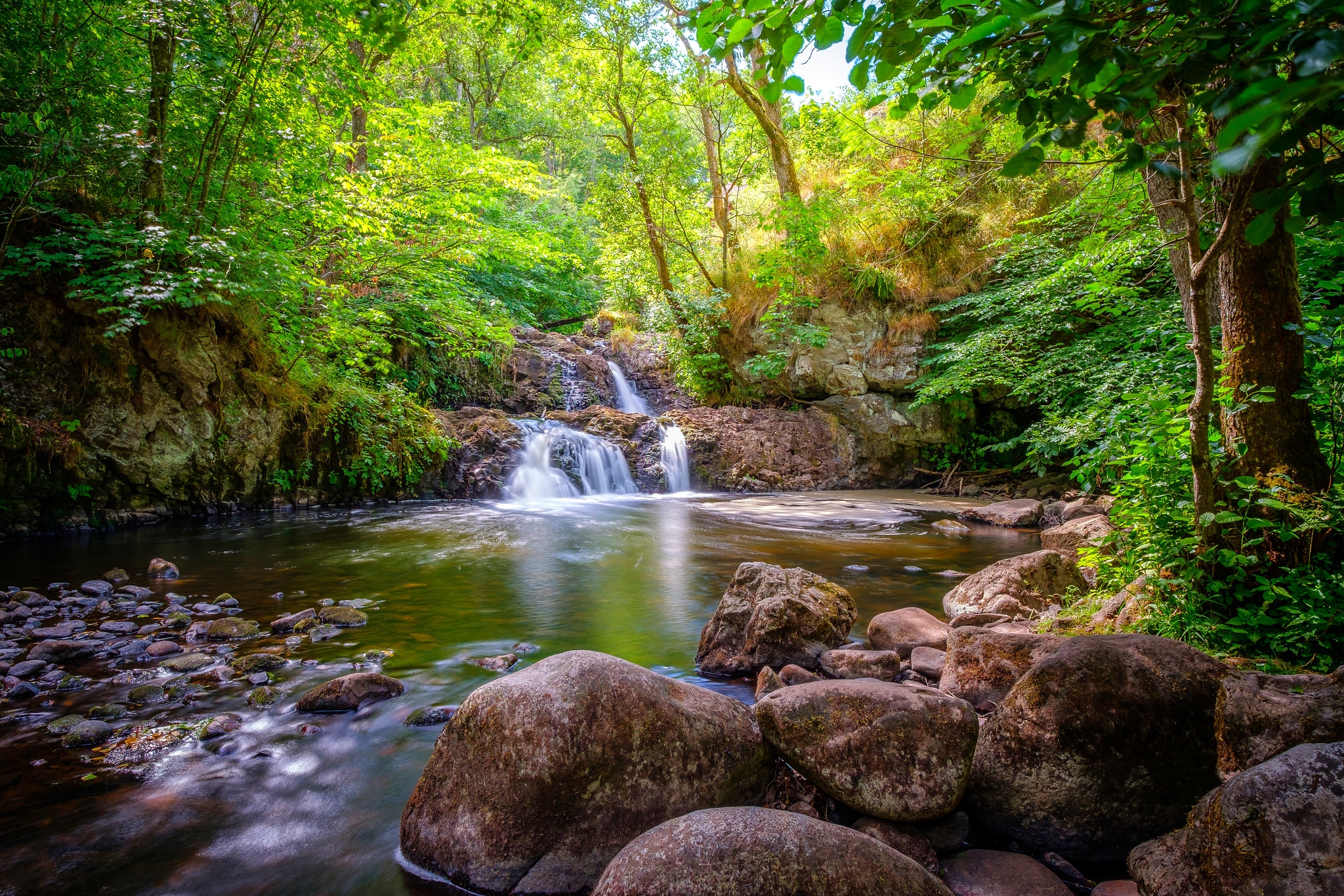 Free photo Jungle Creek