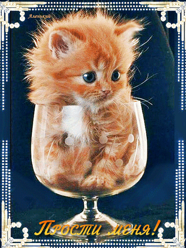 Postcard on the theme cats kitten ginger kitten download for free