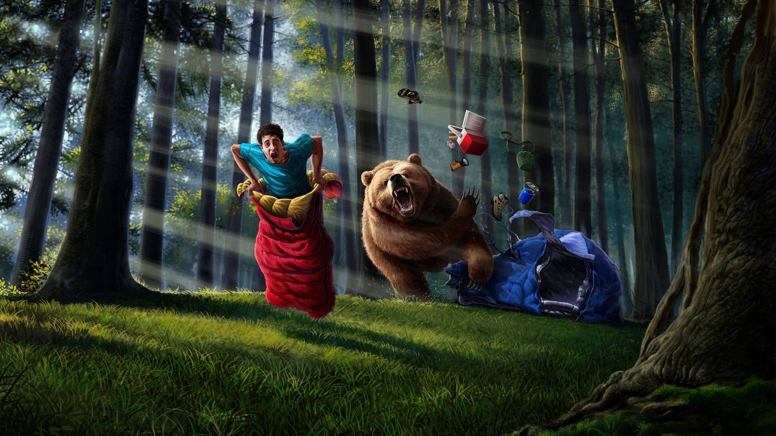 桌面上的壁纸人 日光 树木